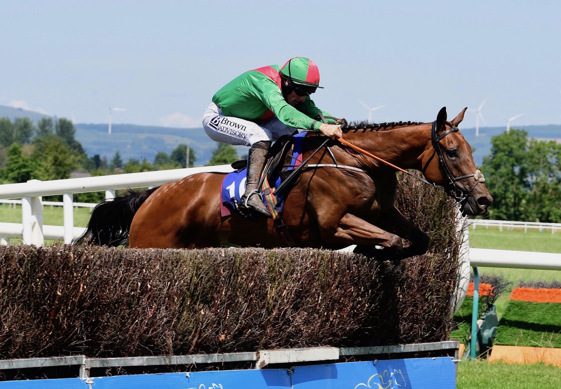 The Cathal Don (Westerner) winning a Beginners Chase at Tipperary
