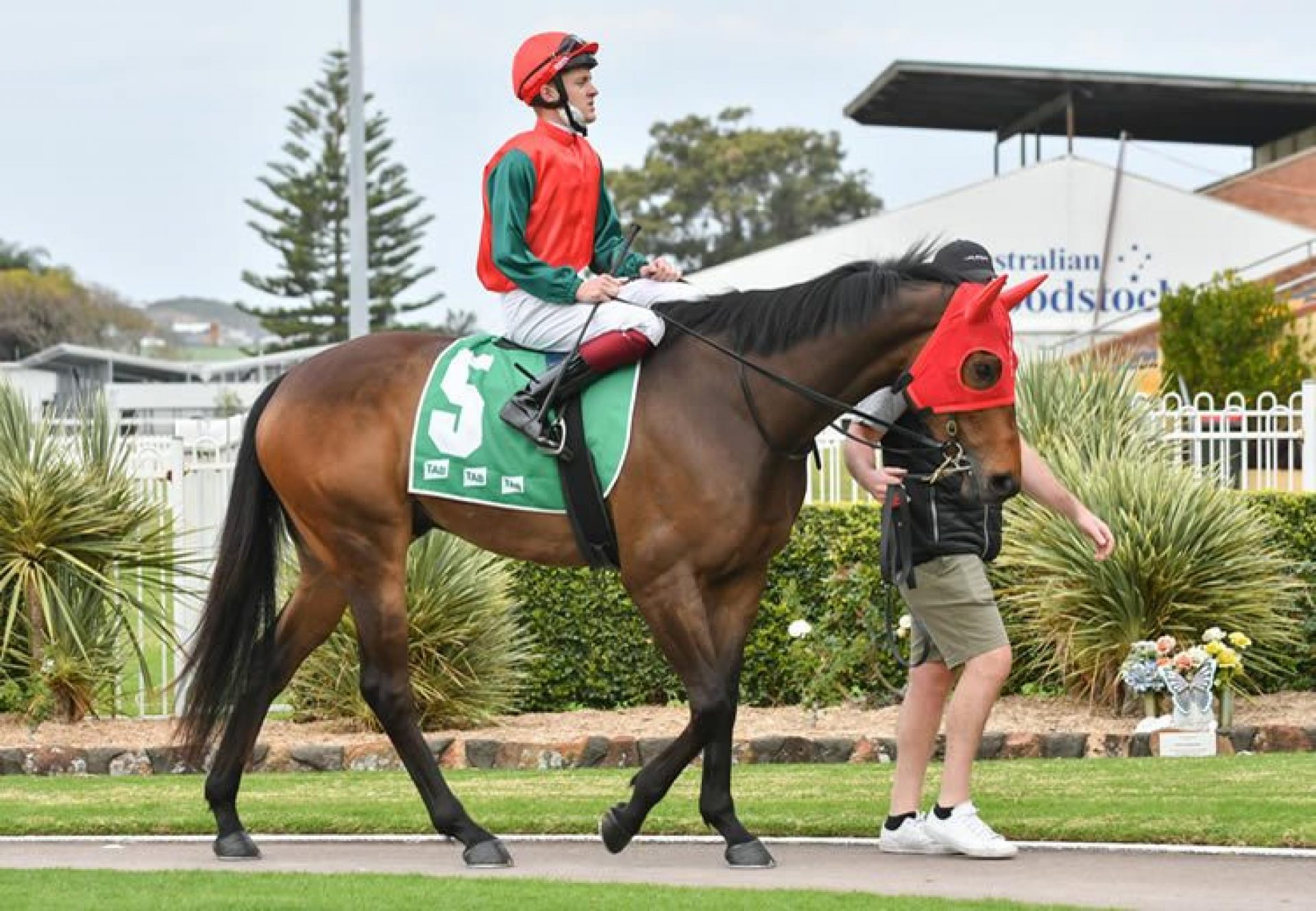 The Denzel (Adelaide) after winning at Wyong