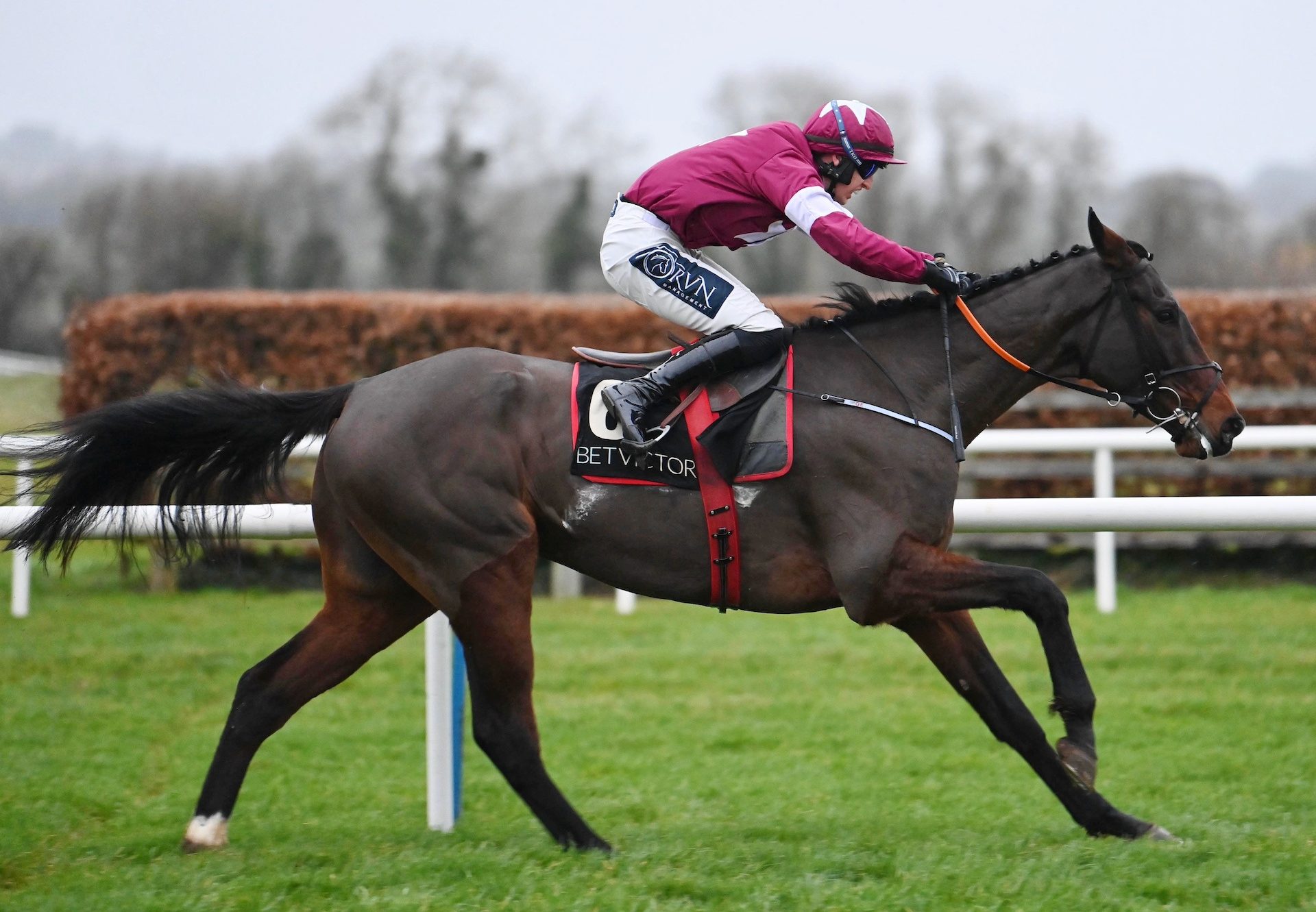 The Enabler (Walk In The Park) Wins The Listed Bumper At Navan