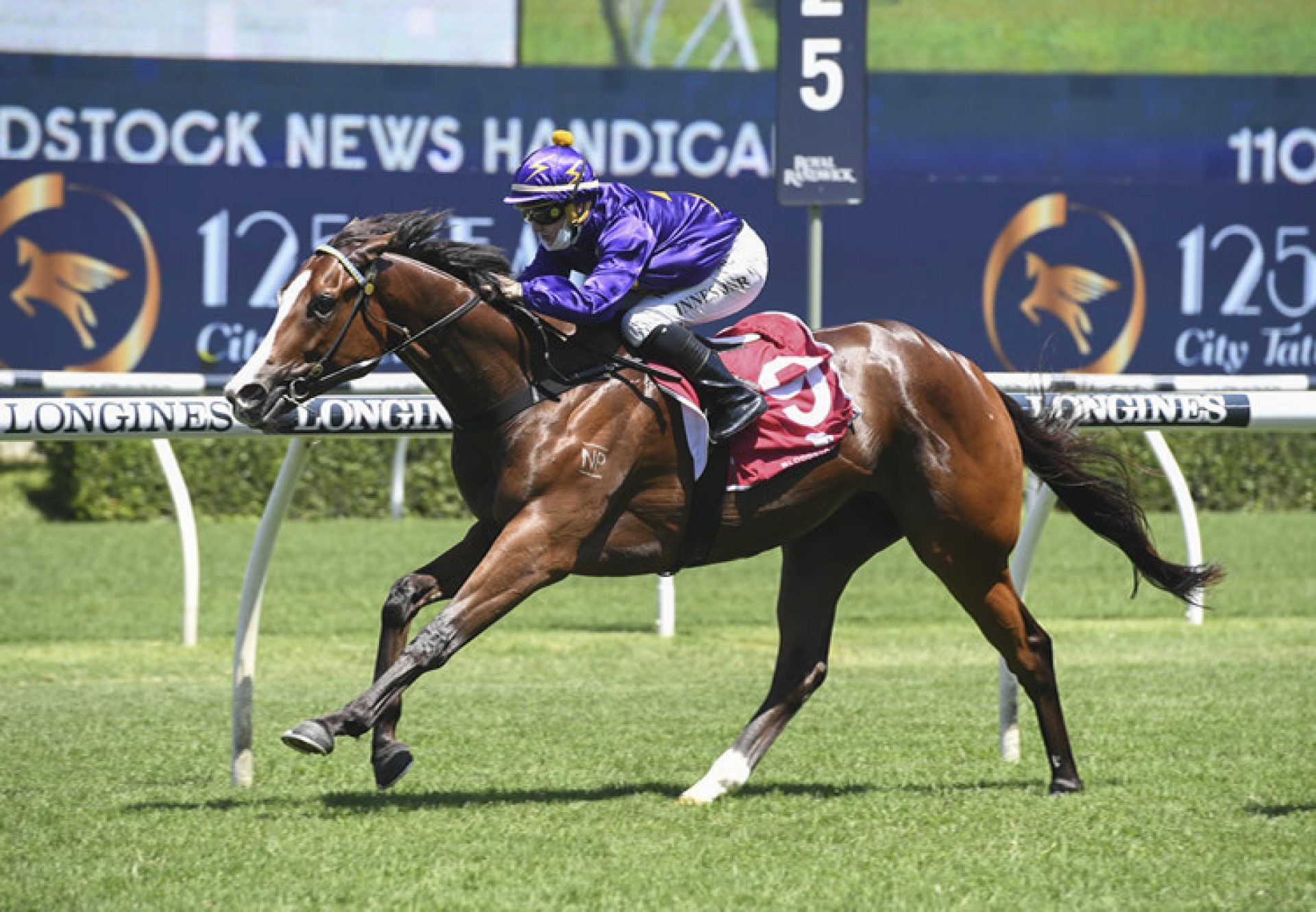 The Face (Rubick) winning at Randwick