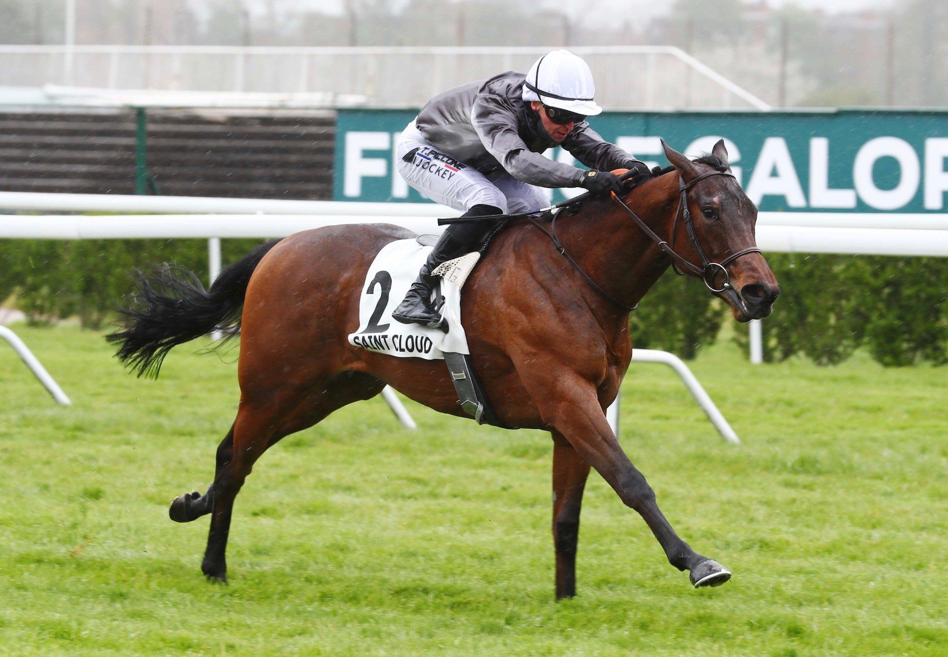 The Fixer (No Nay Never) Impresses At Saint Cloud