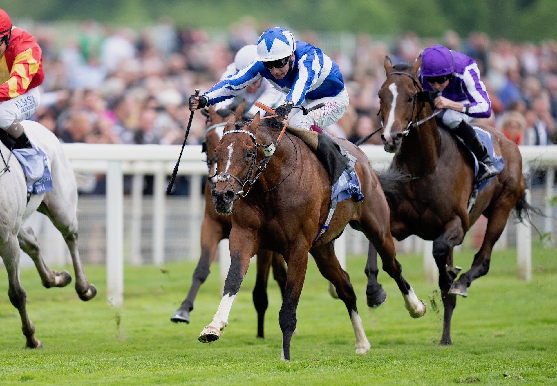 The Foxes (Churchill) Wins The Group 2 Dante Stakes at York