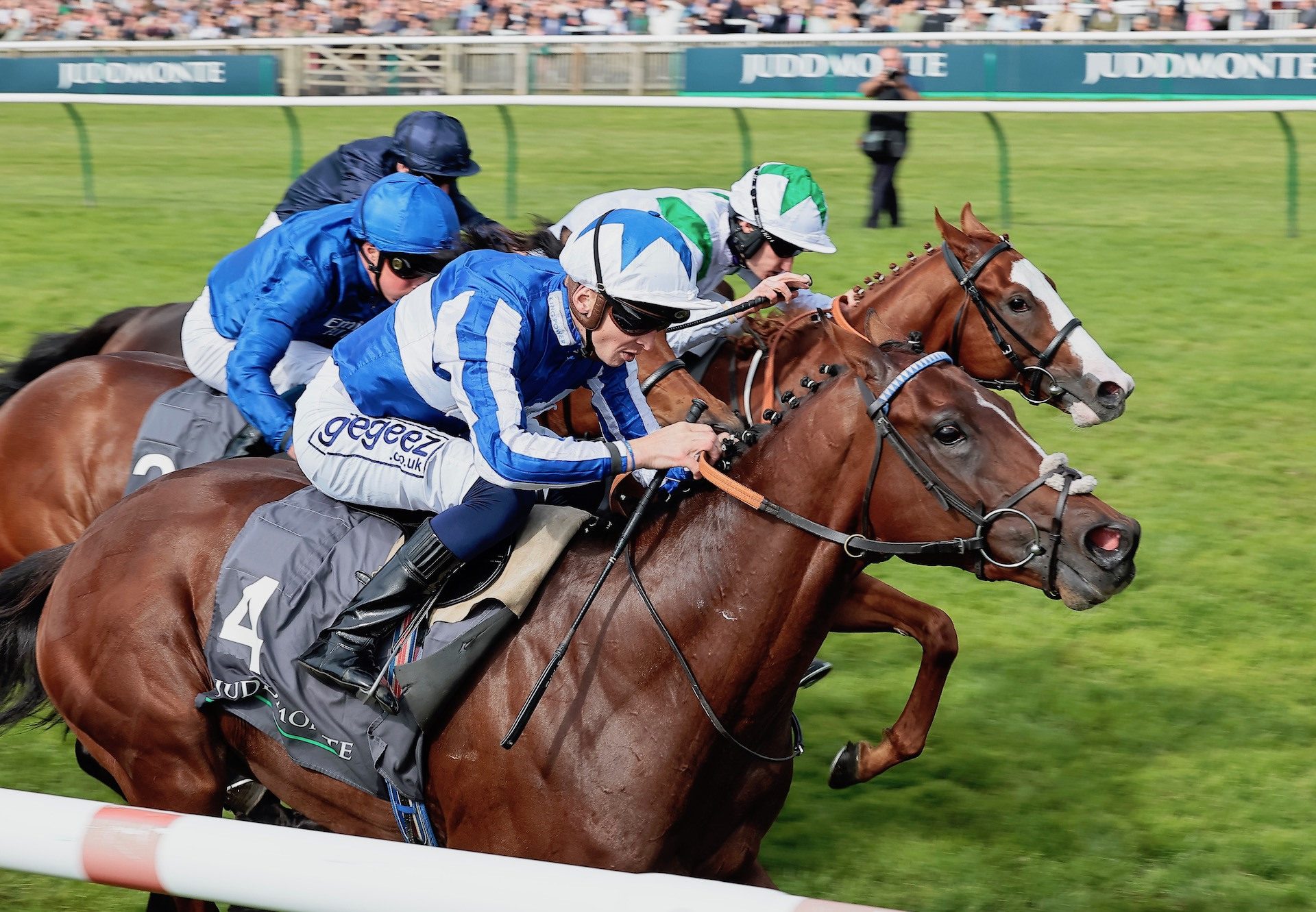 The Foxes (Churchill) Wins The Group 2 Royal Lodge Stakes at Newmarket