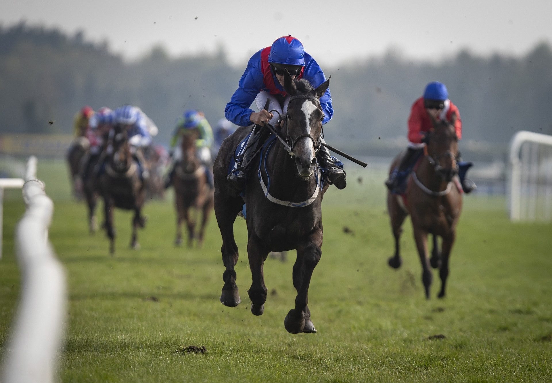 The Getaway Star (Getaway) Impresses On Debut at Fairyhouse