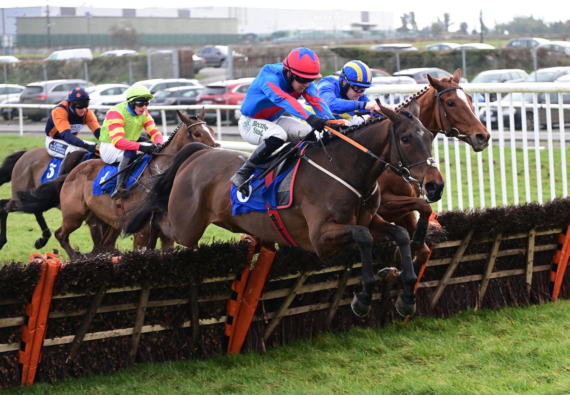 The Goffer (Yeats) Wins The Grade 3 Michael Purcell Memorial Novice Hurdle At Thurles