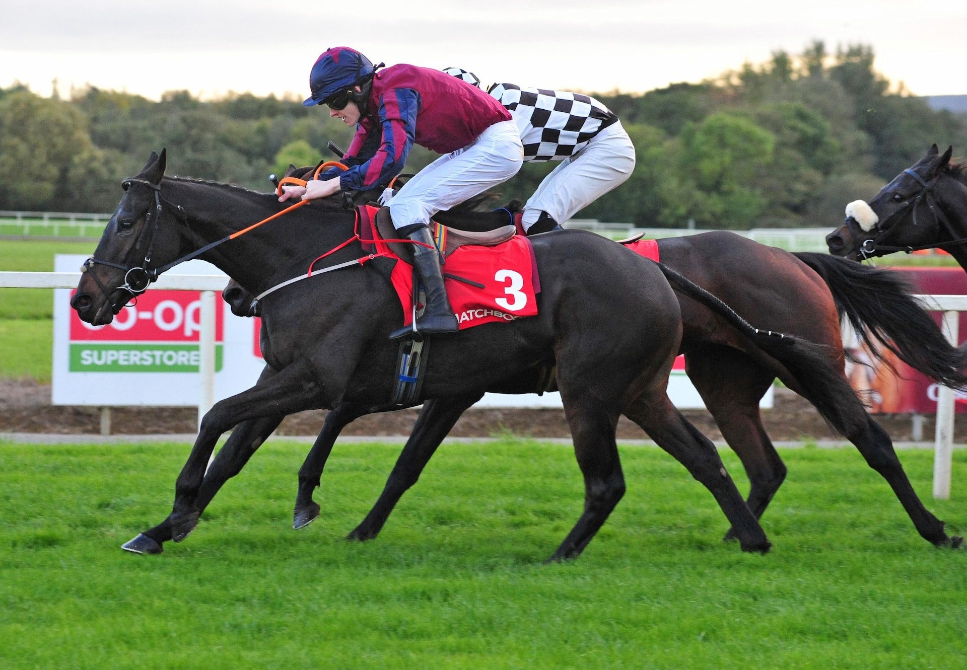 The Little Yank (Westerner) winning a bumper at Cork