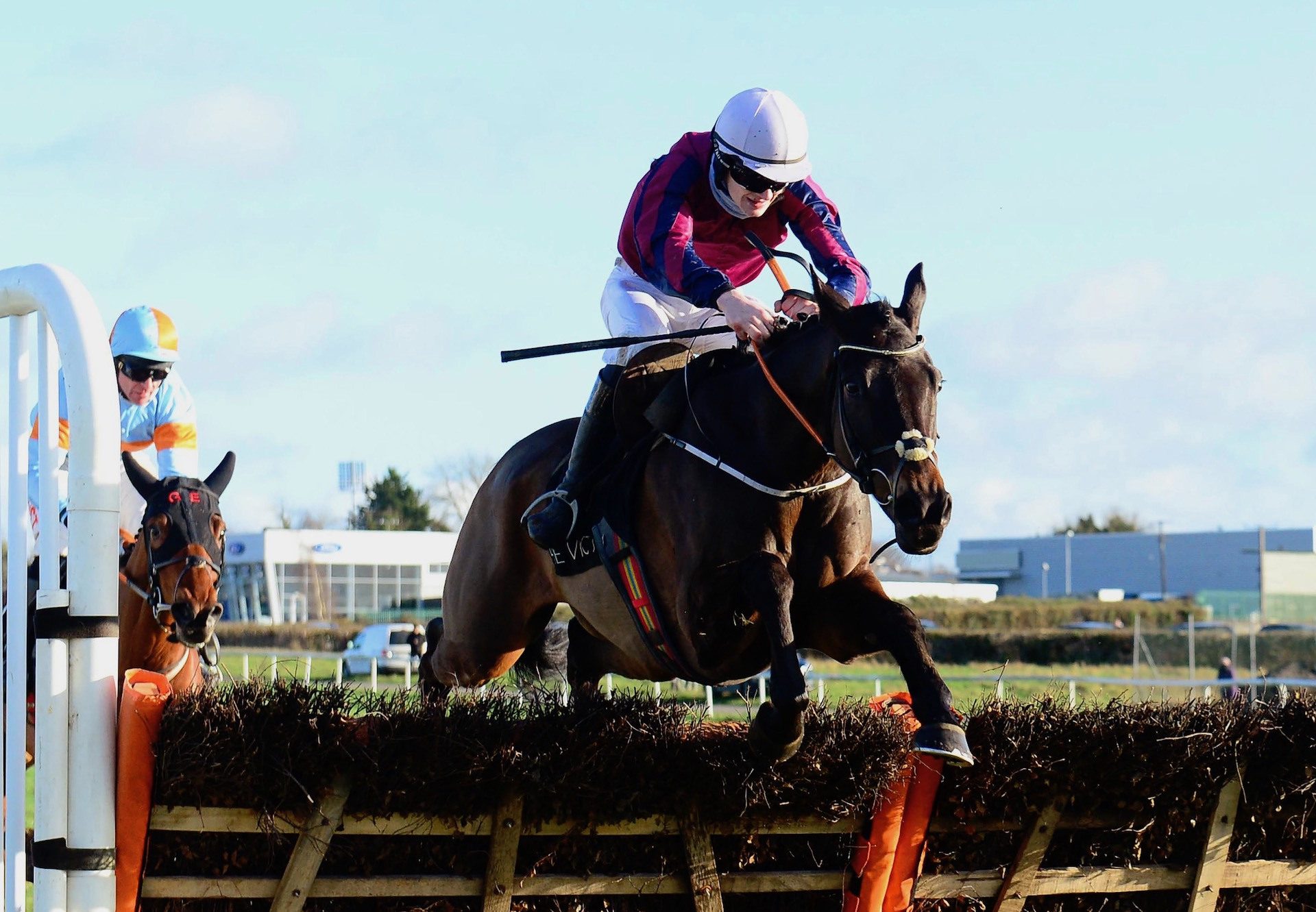 The Little Yank (Westerner) Lands The Rated Novice Hurdle At Thurles