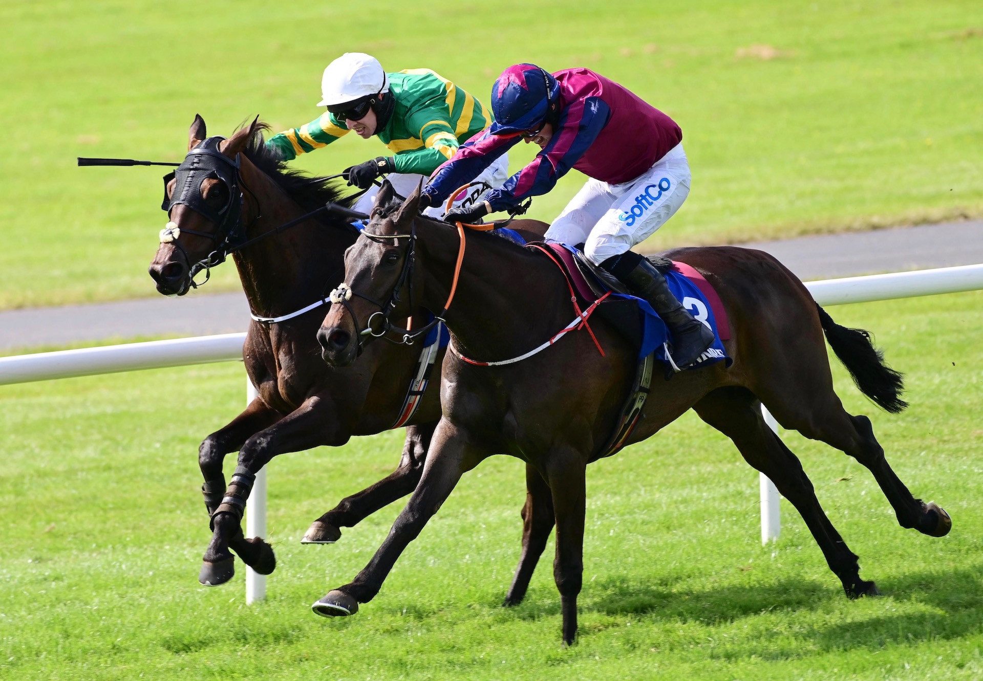 The Little Yank (Westerner) Wins The Rated Novice Hurdle At Ballinrobe