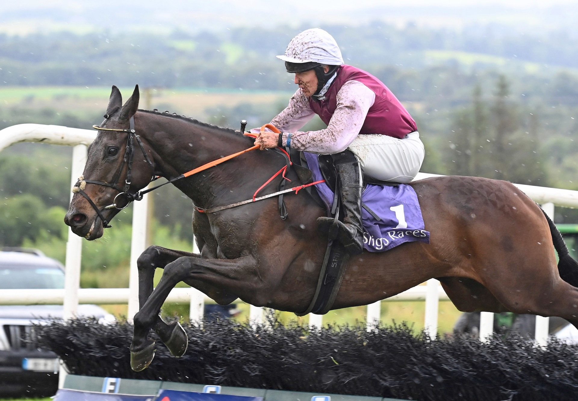 The Little Yank (Westerner) Wins The Rated Novice Hurdle At Sligo