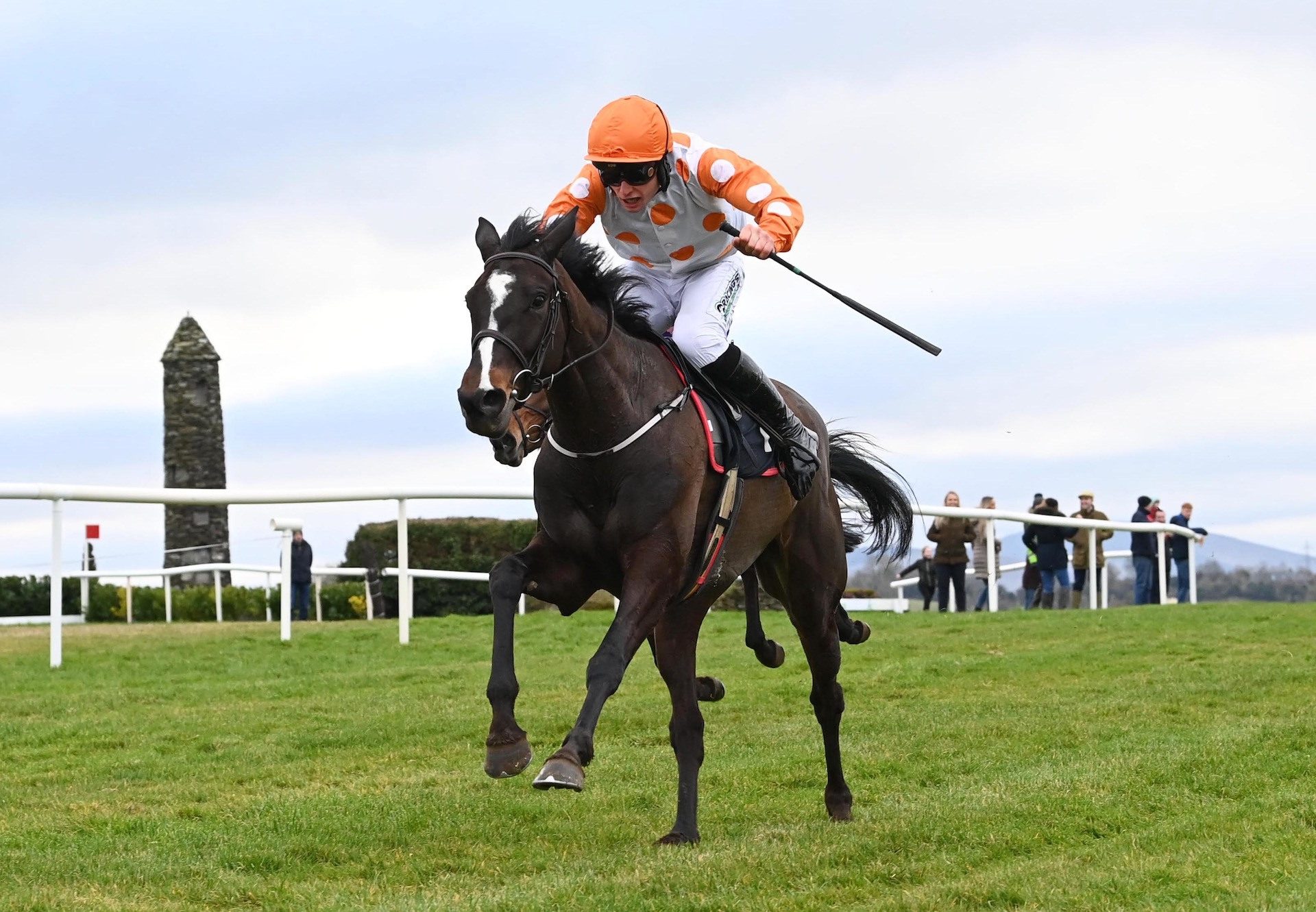 The Midwife (Soldier Of Fortune) Wins The Mares Maiden At Punchestown P2P