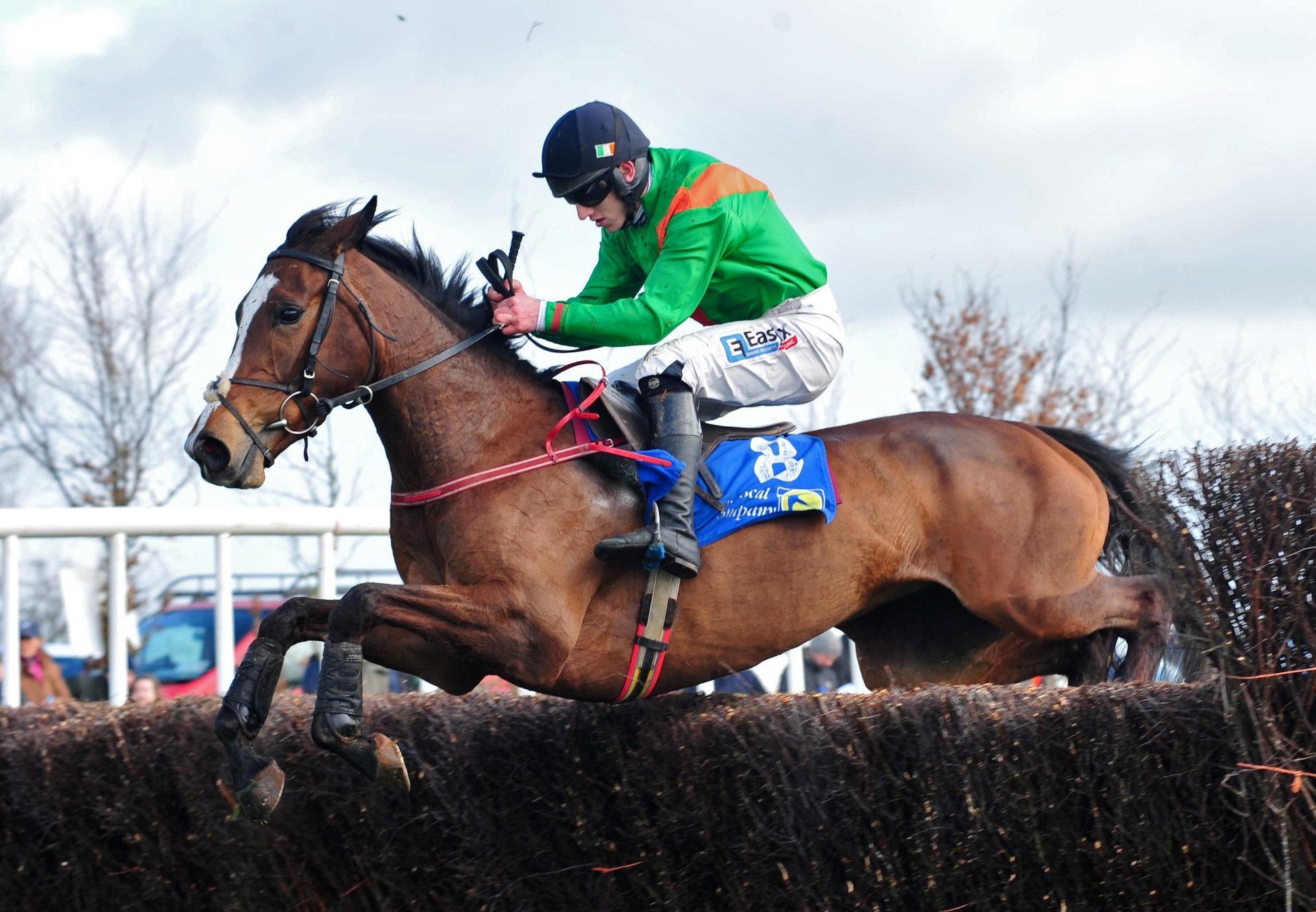 The Milan Mare Little Token Wins On Debut At Ballyarthur