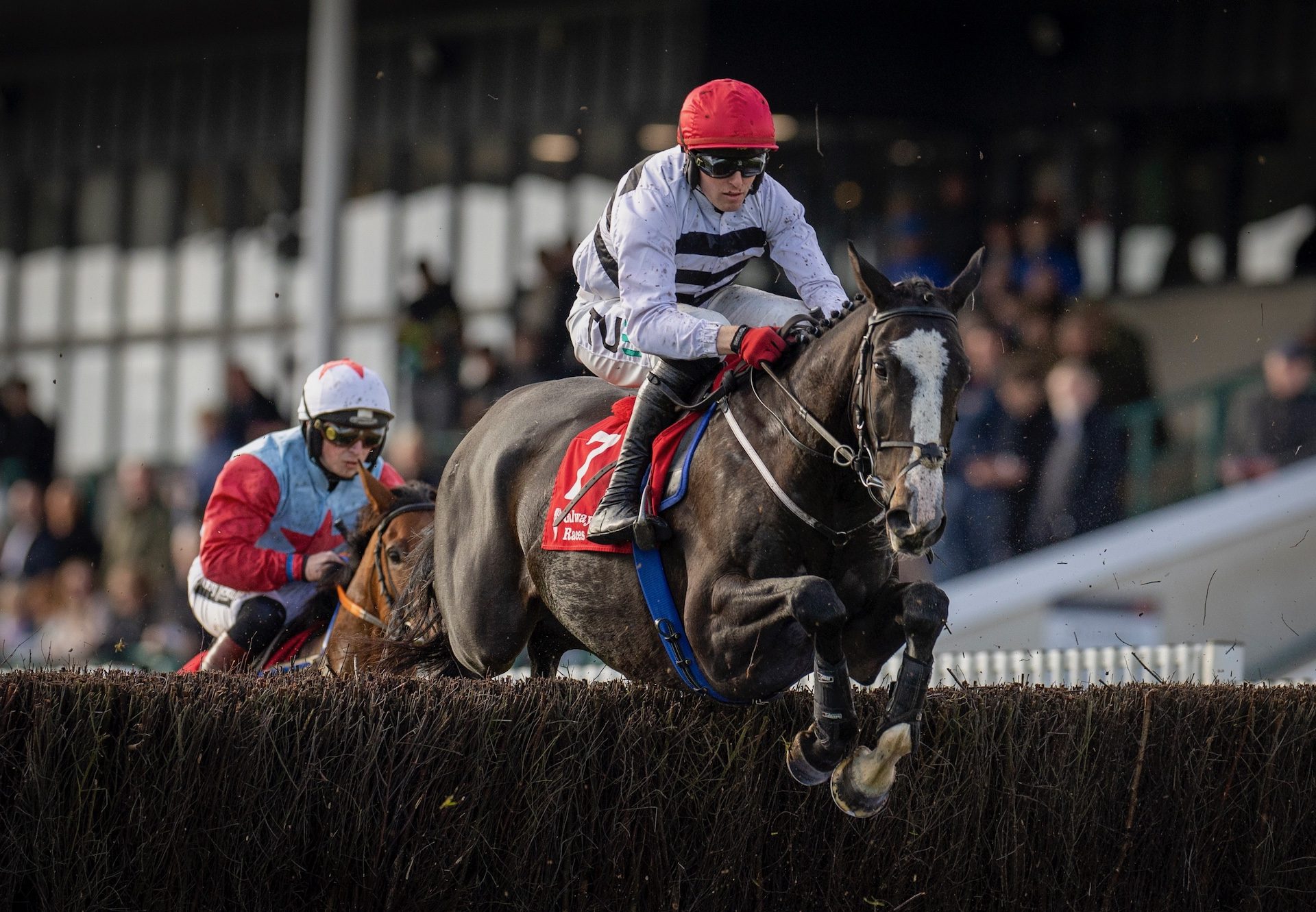 The Other Mozzie (Vadamos) Wins The Beginners Chase At Galway