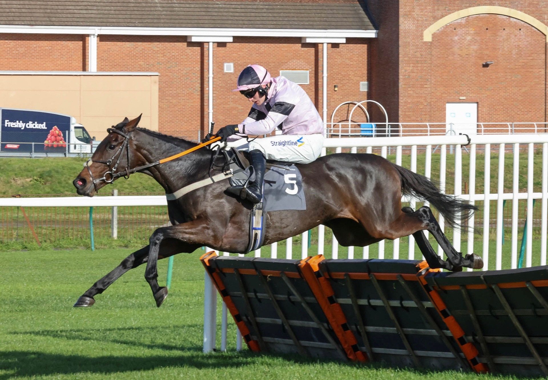 The Player Queen (Yeats) Wins Her Maiden Hurdle At Ayr