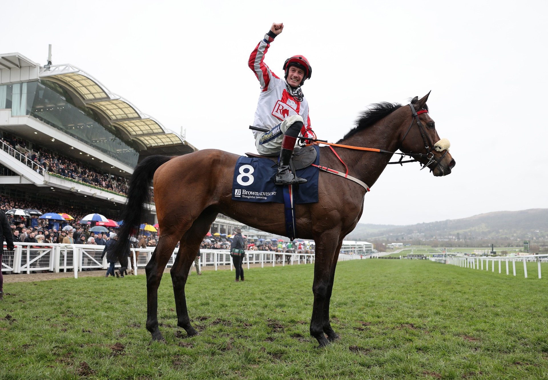 The Real Whacker (Mahler) After Winning The Grade 1 Brown Advisory Chase at Cheltenham