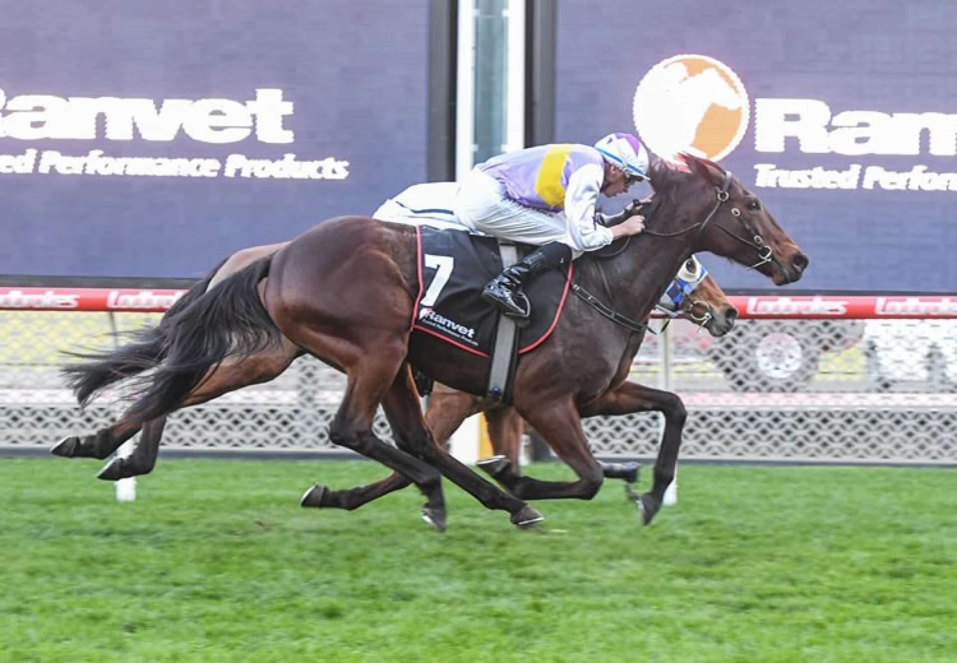 The Summit (Wootton Bassett) winning at Moonee Valley