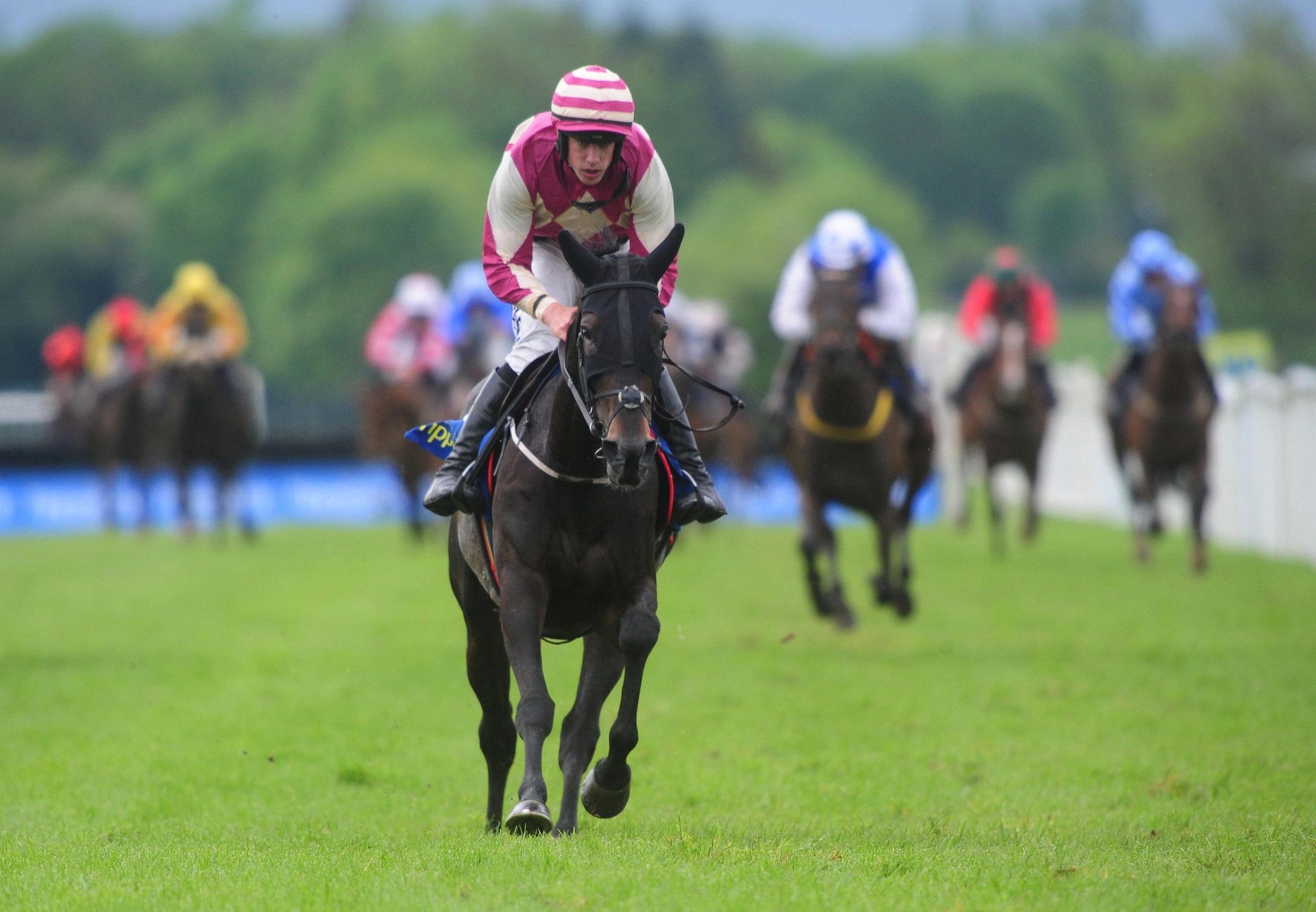 The Yeats Mare Dolly Dancer Wins At Tipperary
