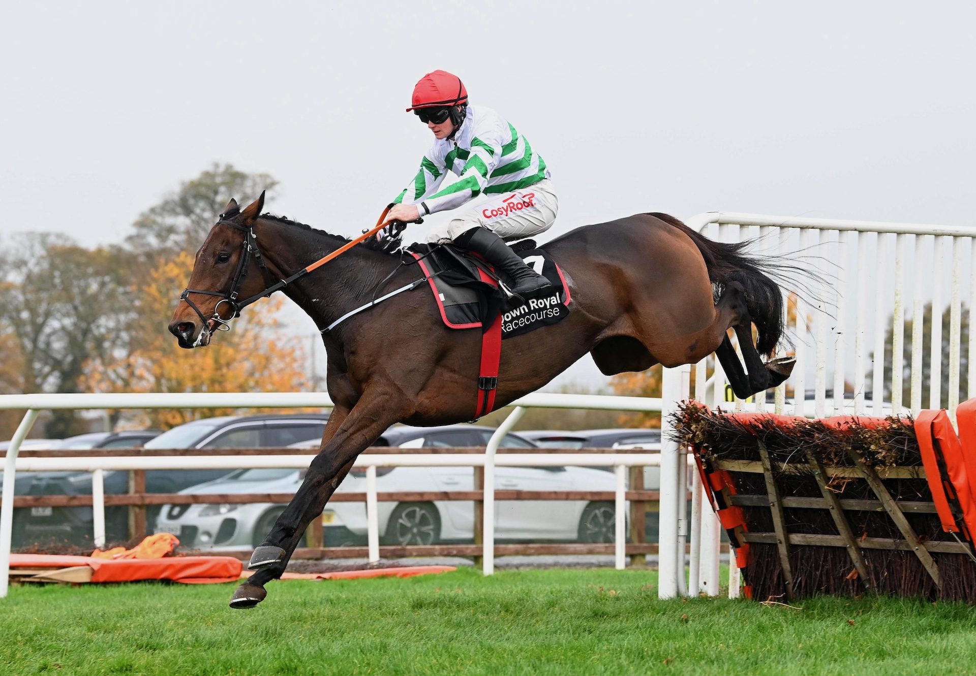 The Yellow Clay (Yeats) Wins His Hurdle Debut At Down Royal