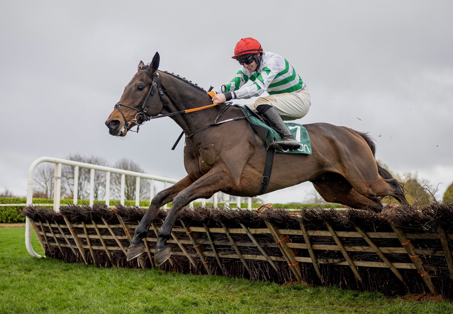 The Yellow Clay (Yeats) Wins The Grade 3 Monksfield Novice Hurdle