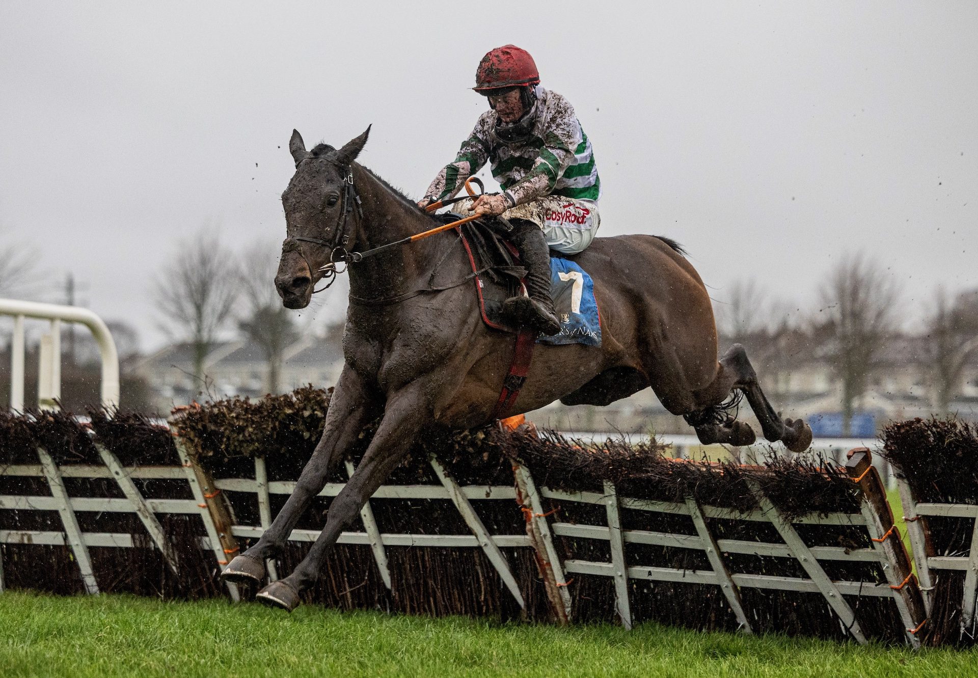 The Yellow Clay (Yeats) Wins The Lawlor’S Of Naas Novice Hurdle