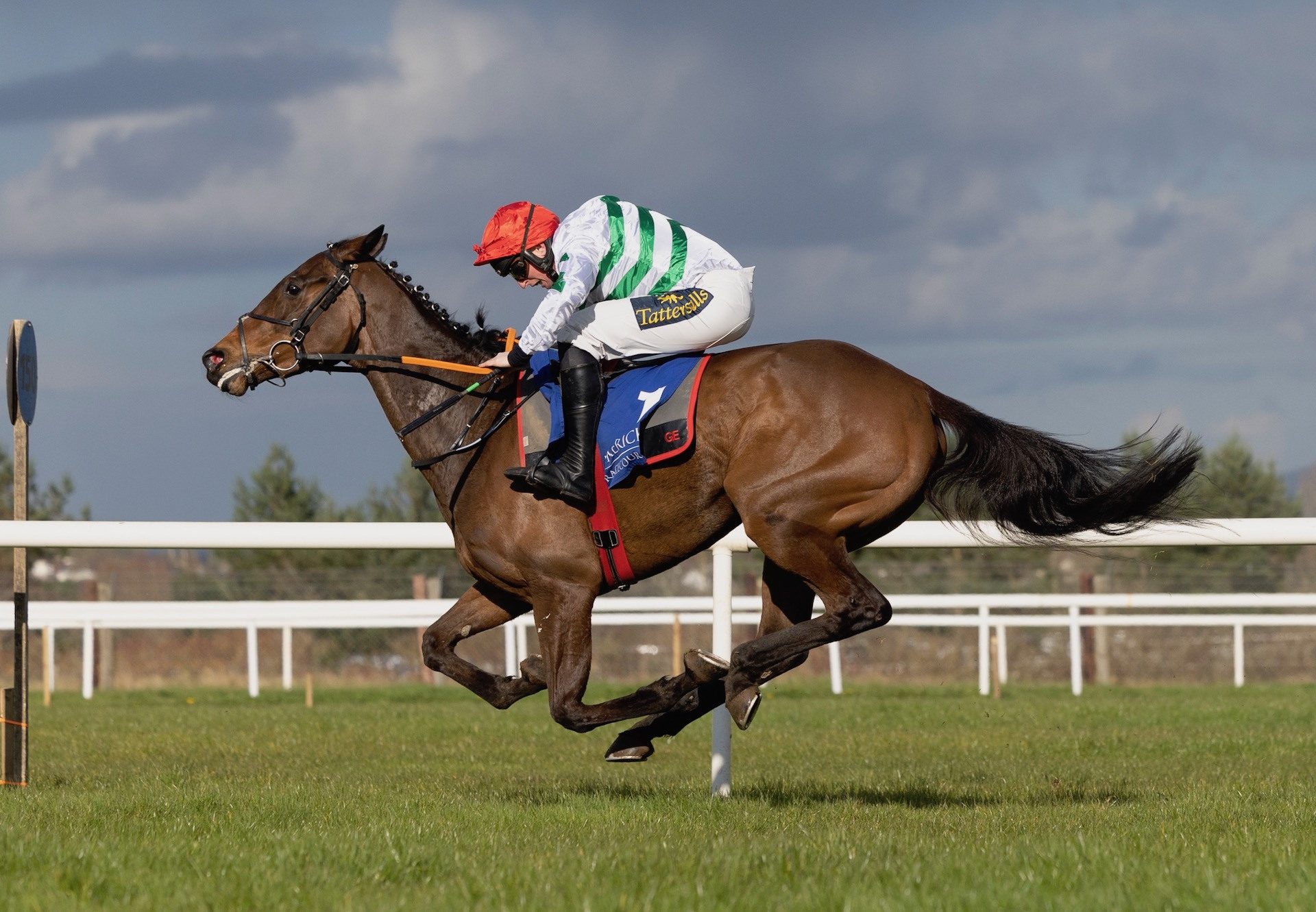 The Yellow Clay (Yeats) Wins The Listed Bumper At Limerick