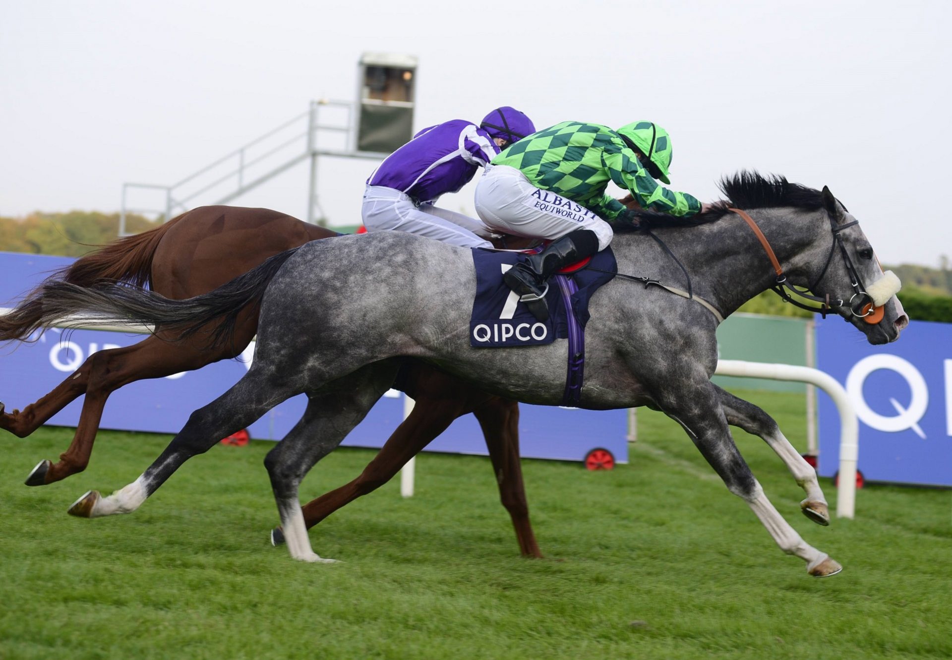 The Grey Gatsby (Mastercraftsman) winning the G1 Irish Champion Stakes at Leopardstown