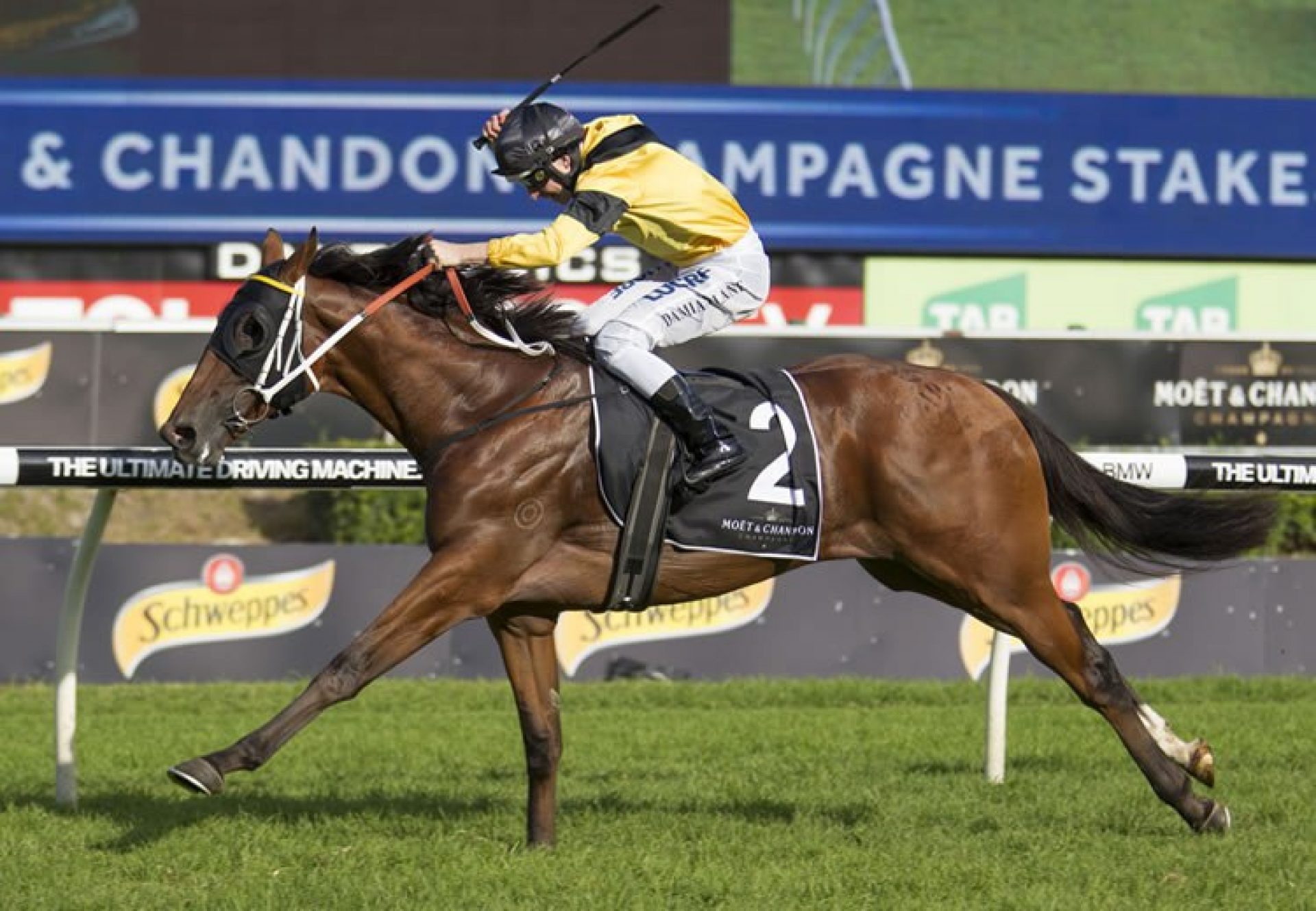 The Mission (Choisir) winning the G1 ATC Champagne Stakes at Randwick
