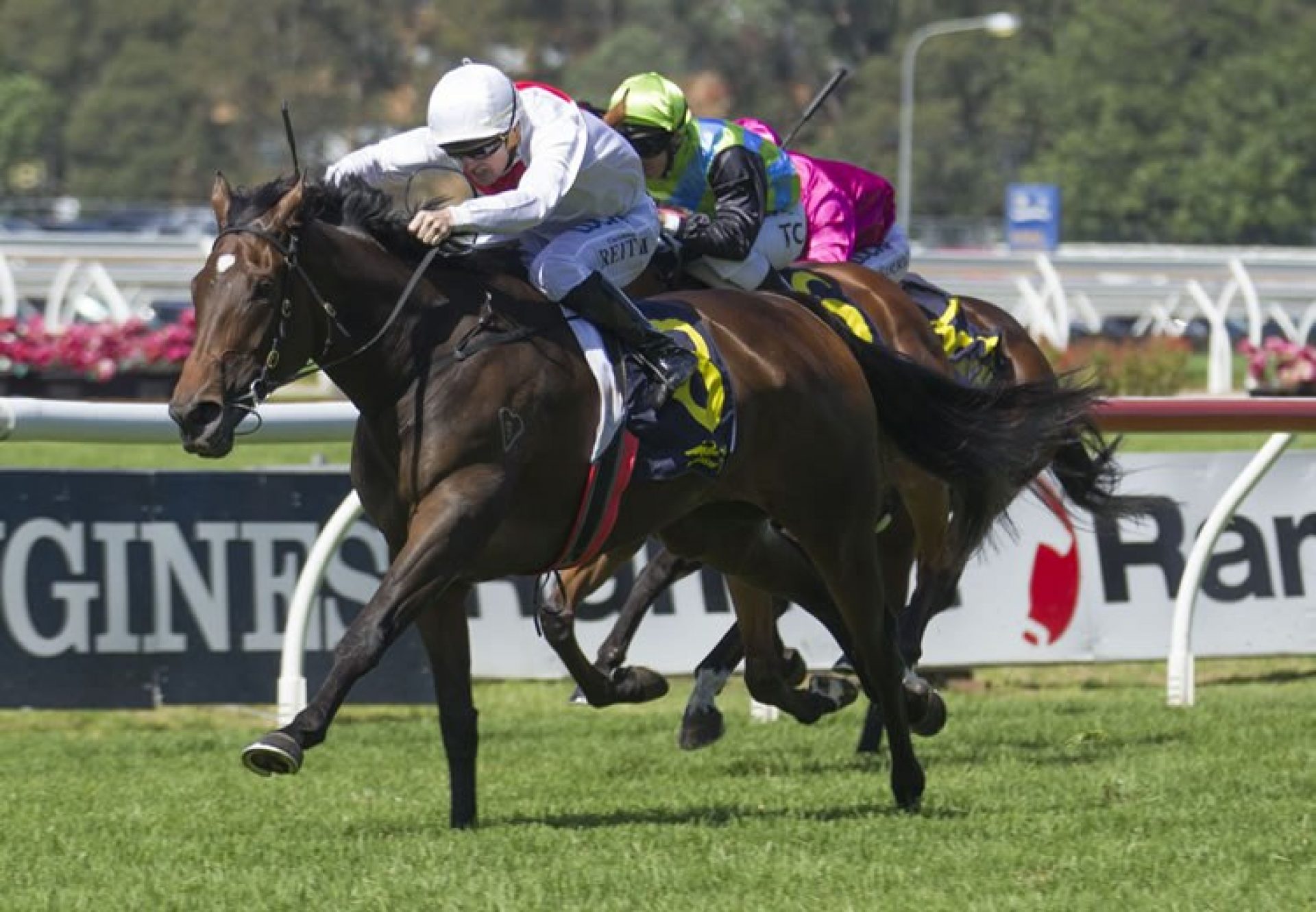 The Pinnacle (So You Think) winning the G3 ATC Epona Stakes at Randwick