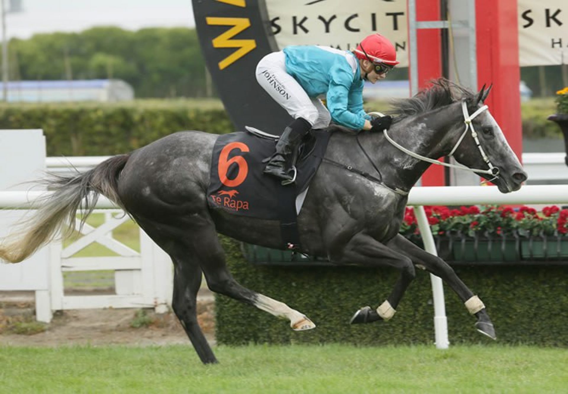 Thee Auld Floozie (Mastercraftsman) winning the Listed J Swap Contractors Sprint at Te Rapa