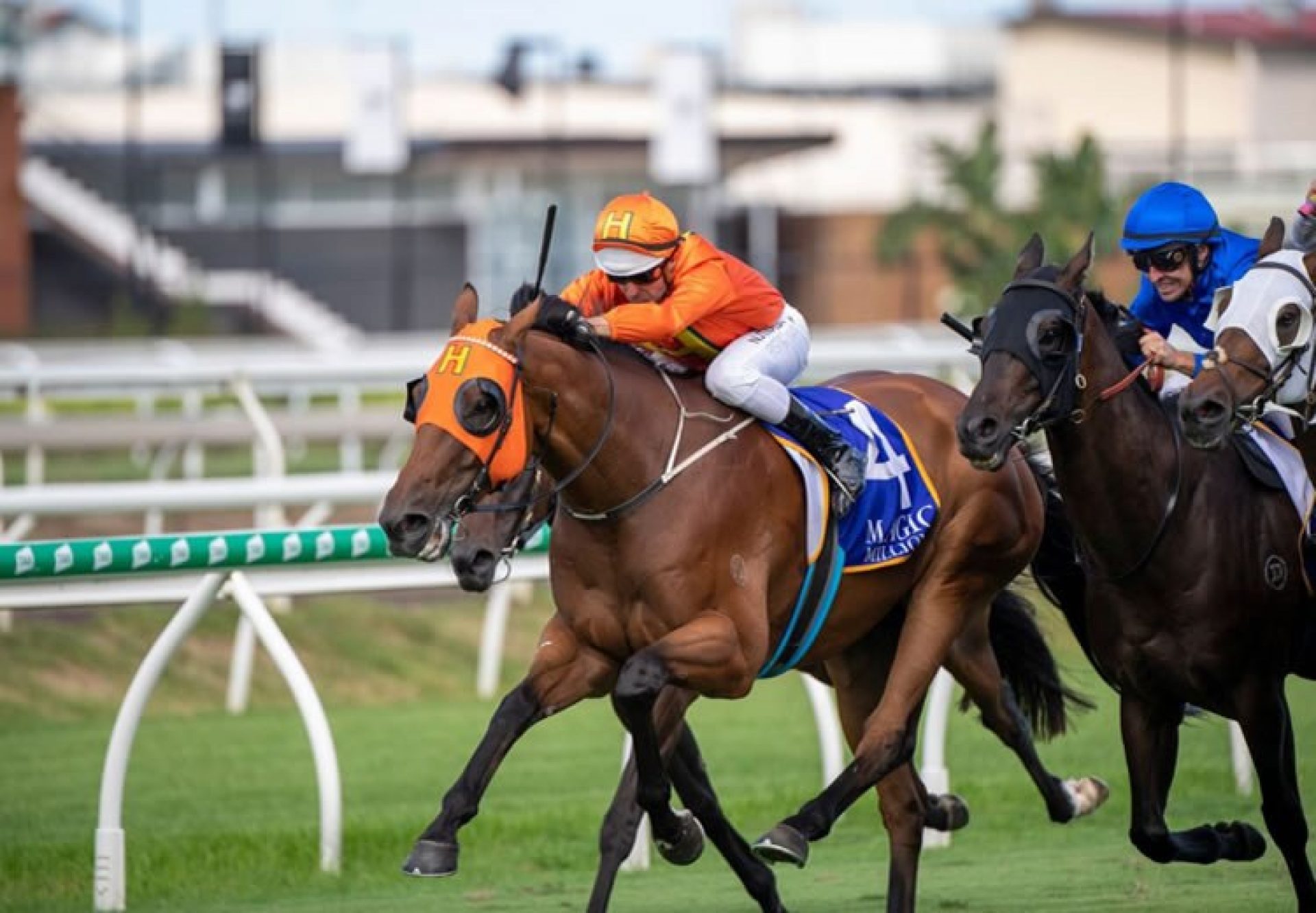 The Harrovian (Fastnet Rock) winning the Listed BRC Bernborough Plate at Eagle Farm