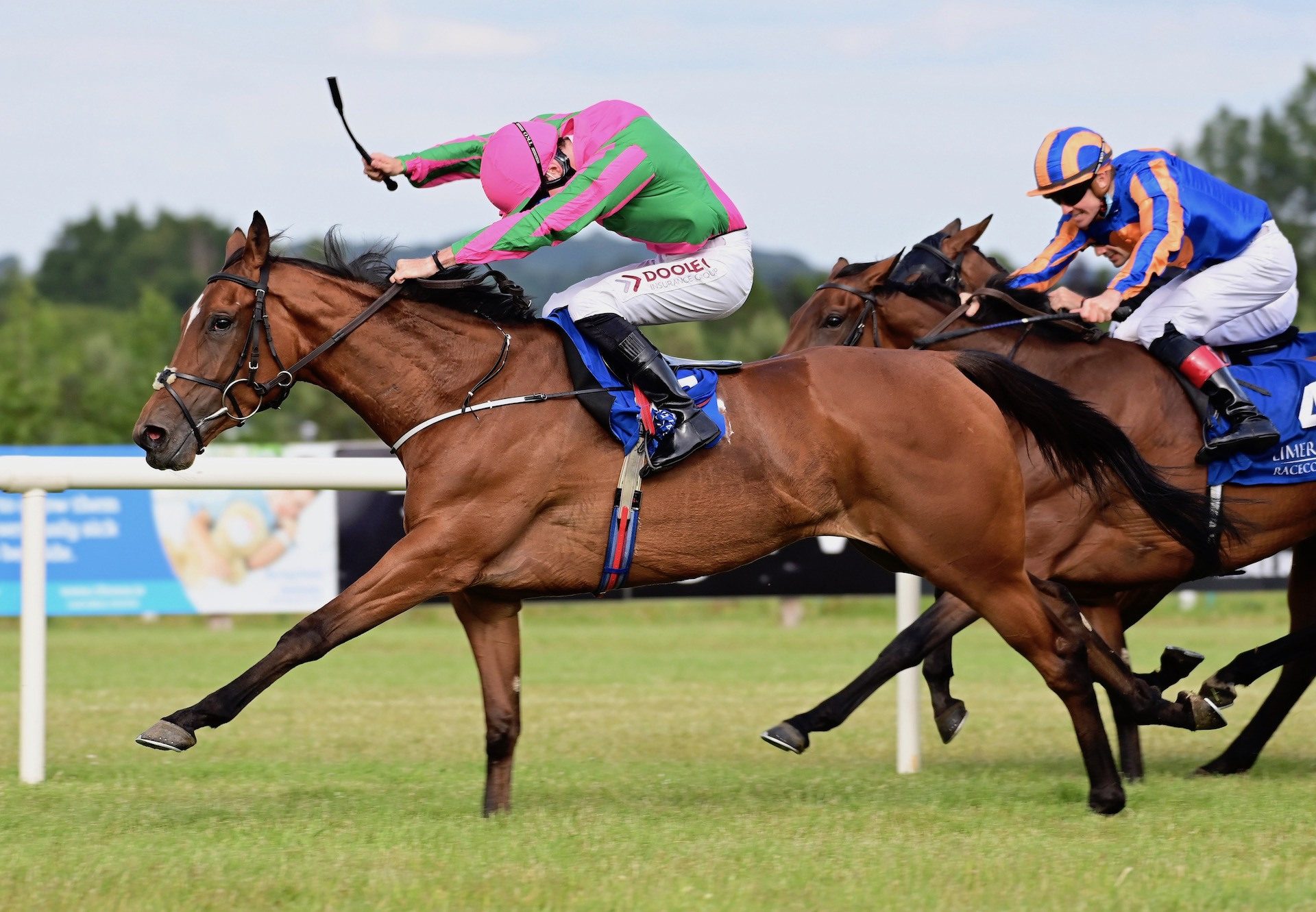 Theory Of Music (Fastnet Rock) Wins Her Maiden At Limerick