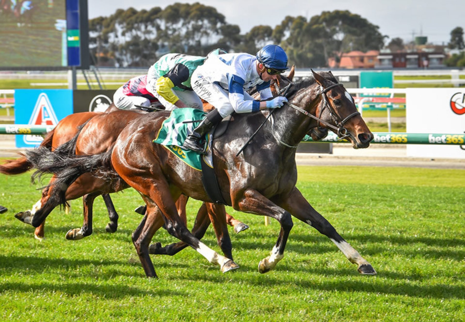 Thesecondatportsea (Churchill) winning at Geelong