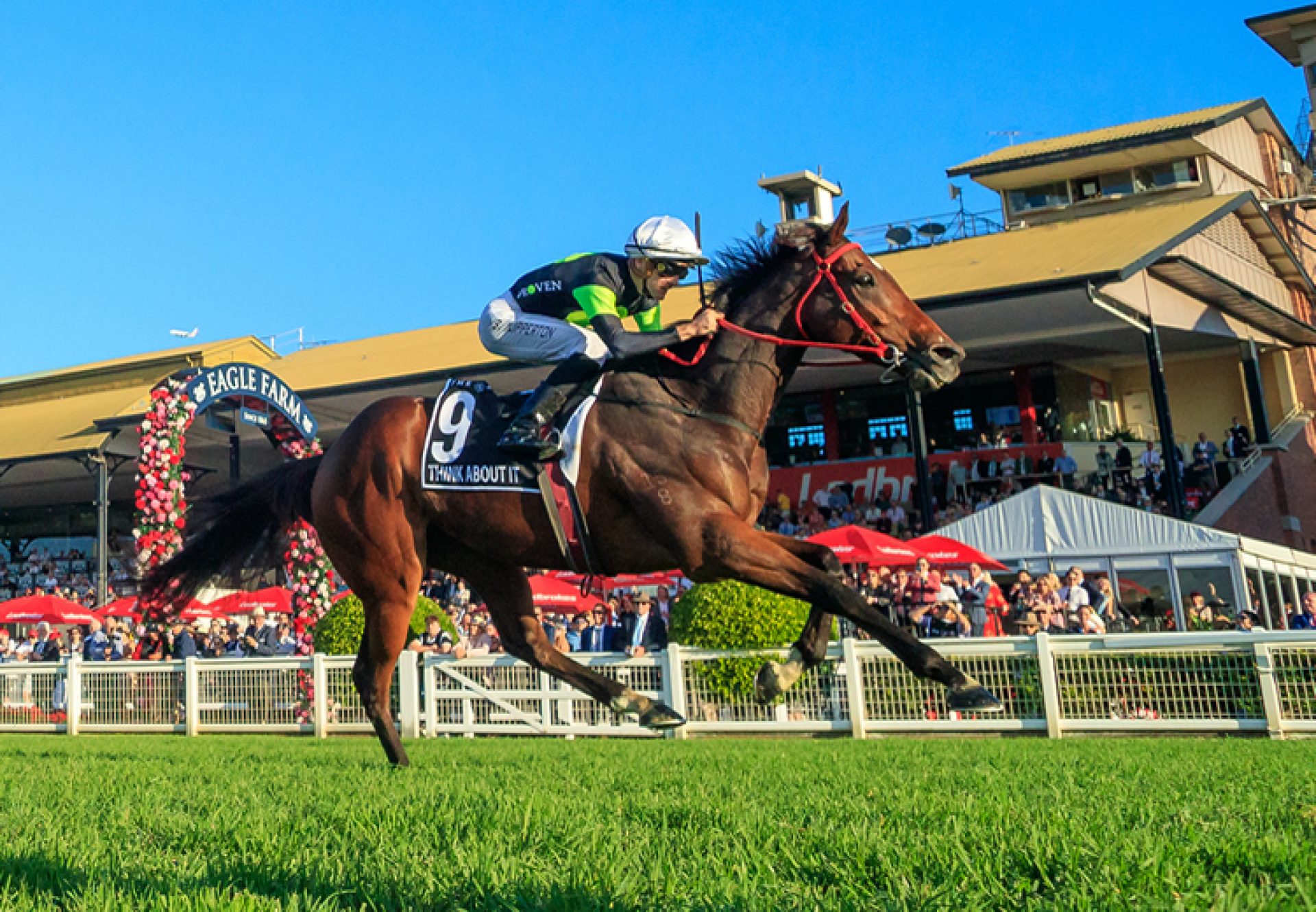 Think About It (So You Think) winning the Gr.1 Stradbroke Handicap at Eagle Farm