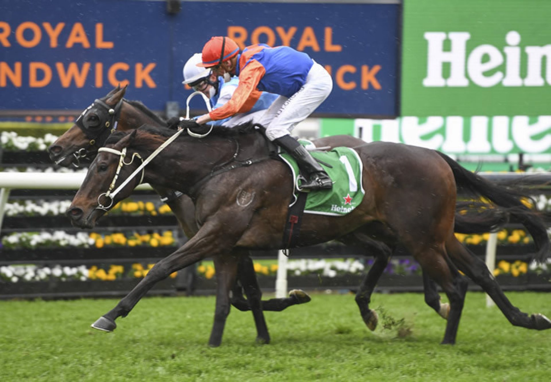 Think It Over (So You Think) winning the Gr.2 Chelmsford at Randwick