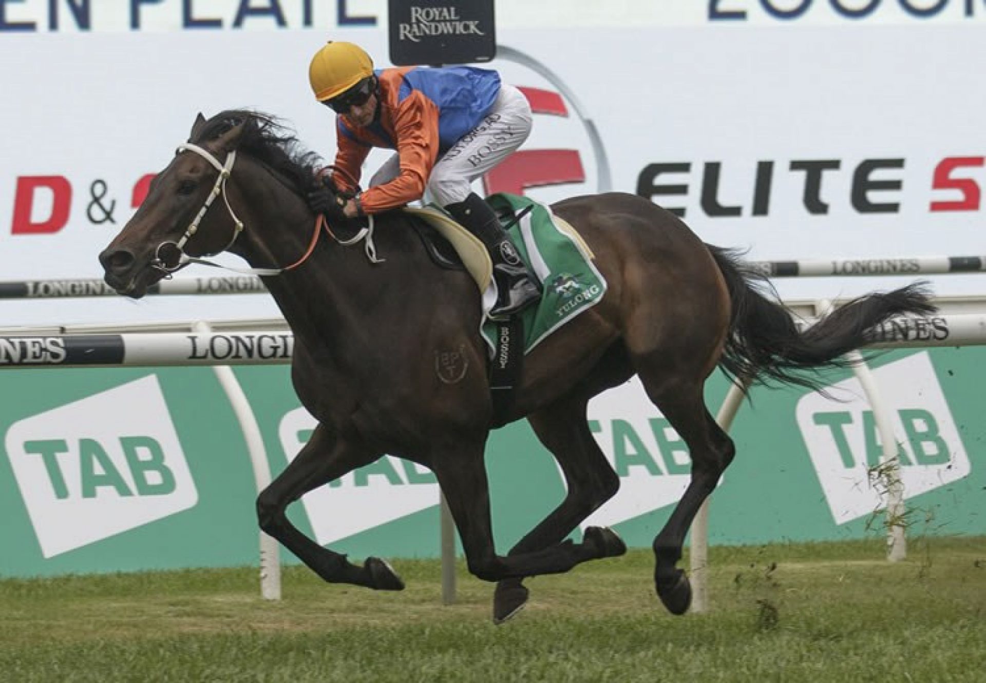 Think It Over (So You Think) winning the Gr.3 Craven Plate at Randwick