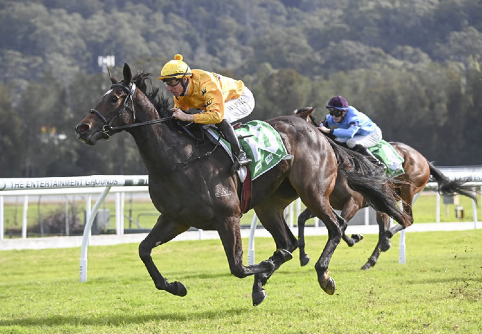 Thinking Rain (So You Think) winning at Gosford