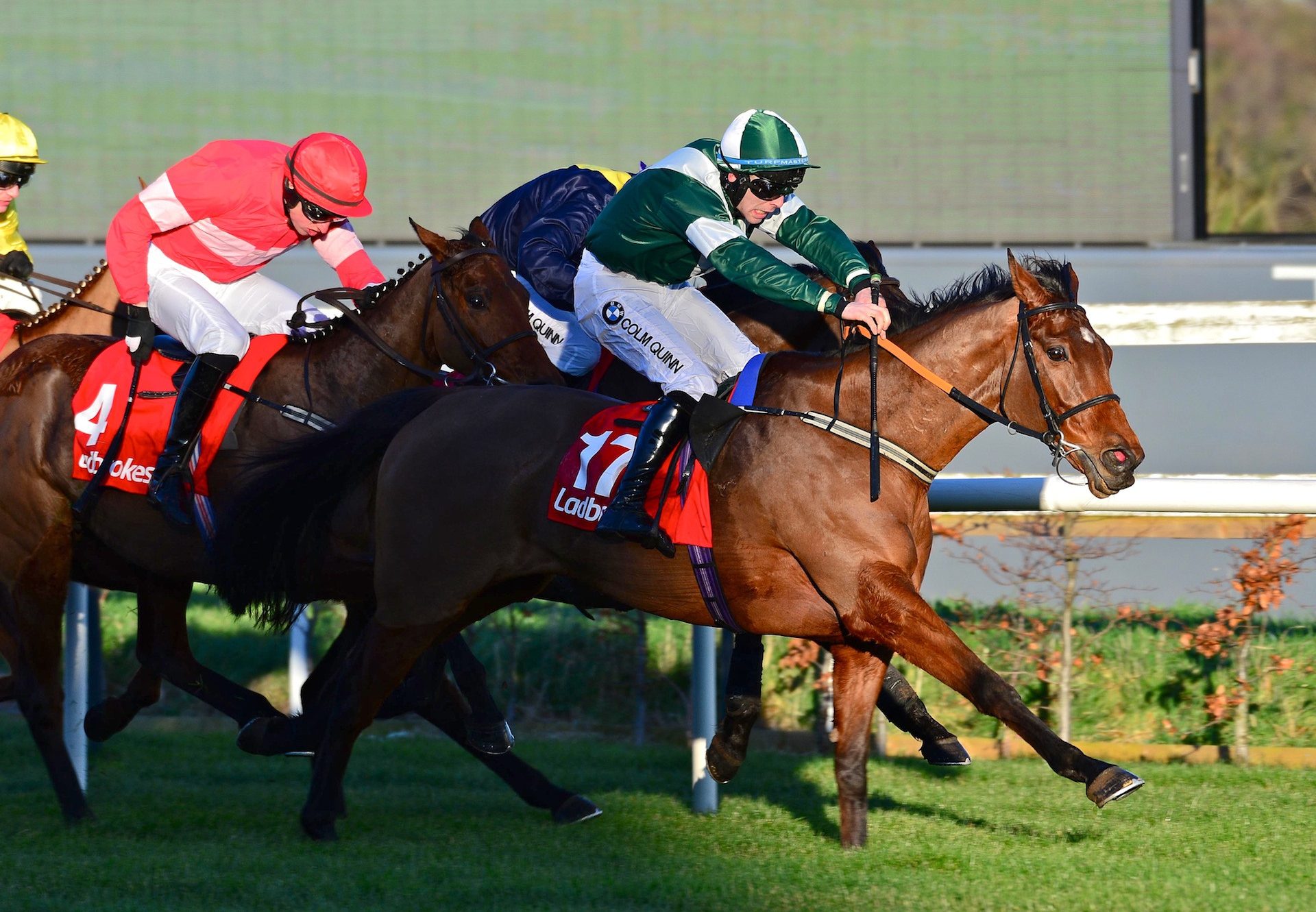 Thosedaysaregone (Getaway) Wins Grade B The Ladbrokes Hurdle at Leopardstown