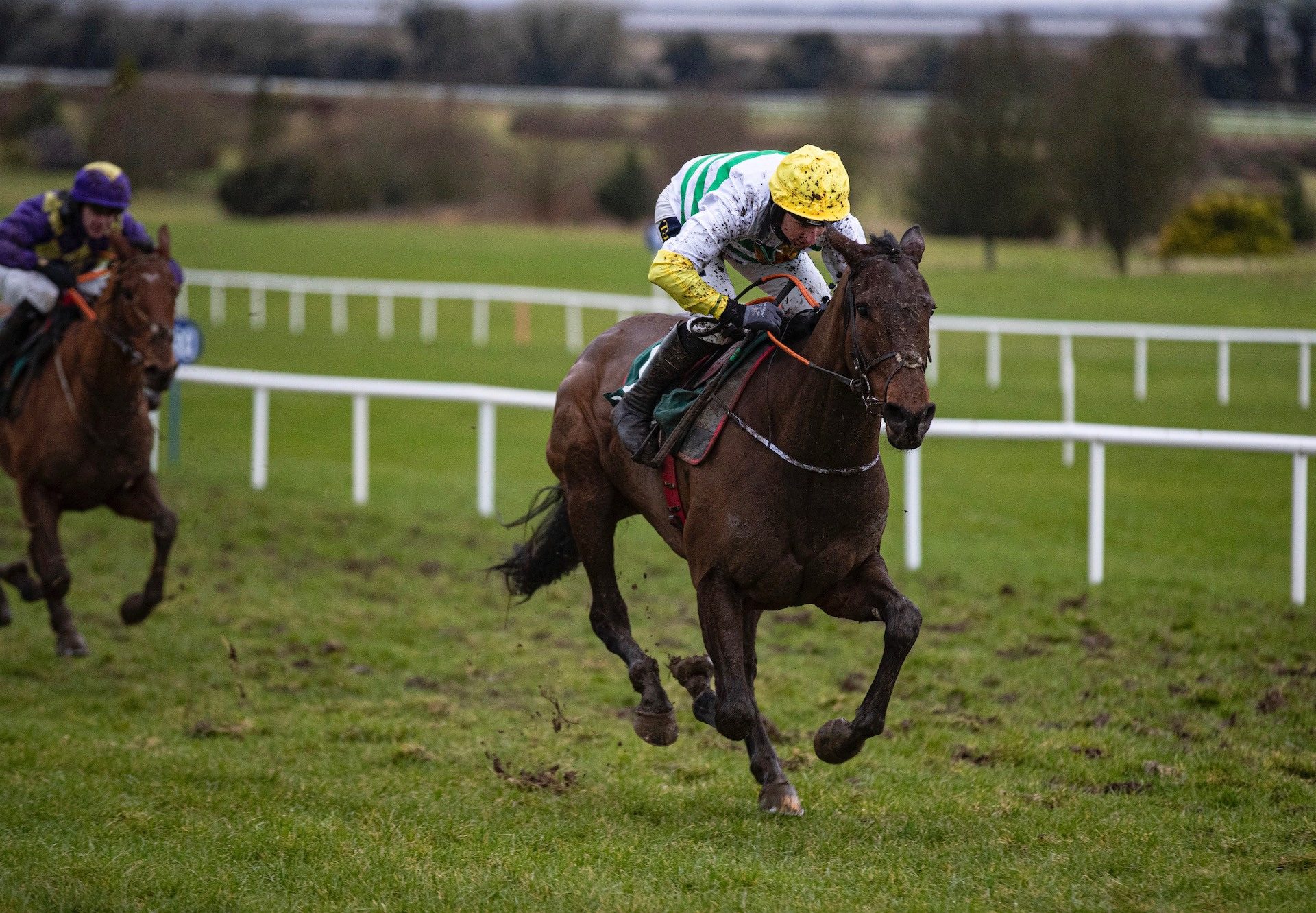 Three Stripes Light (Leading Light) Wins On Debut At Navan 1