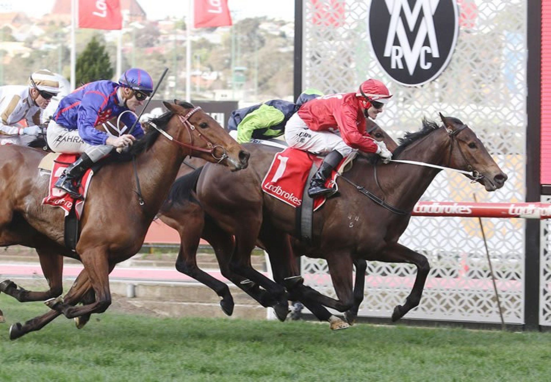 Thrillster (Starspangledbanner) winning the Listed MVRC Atlantic Jewel Stakes at Moonee Valley