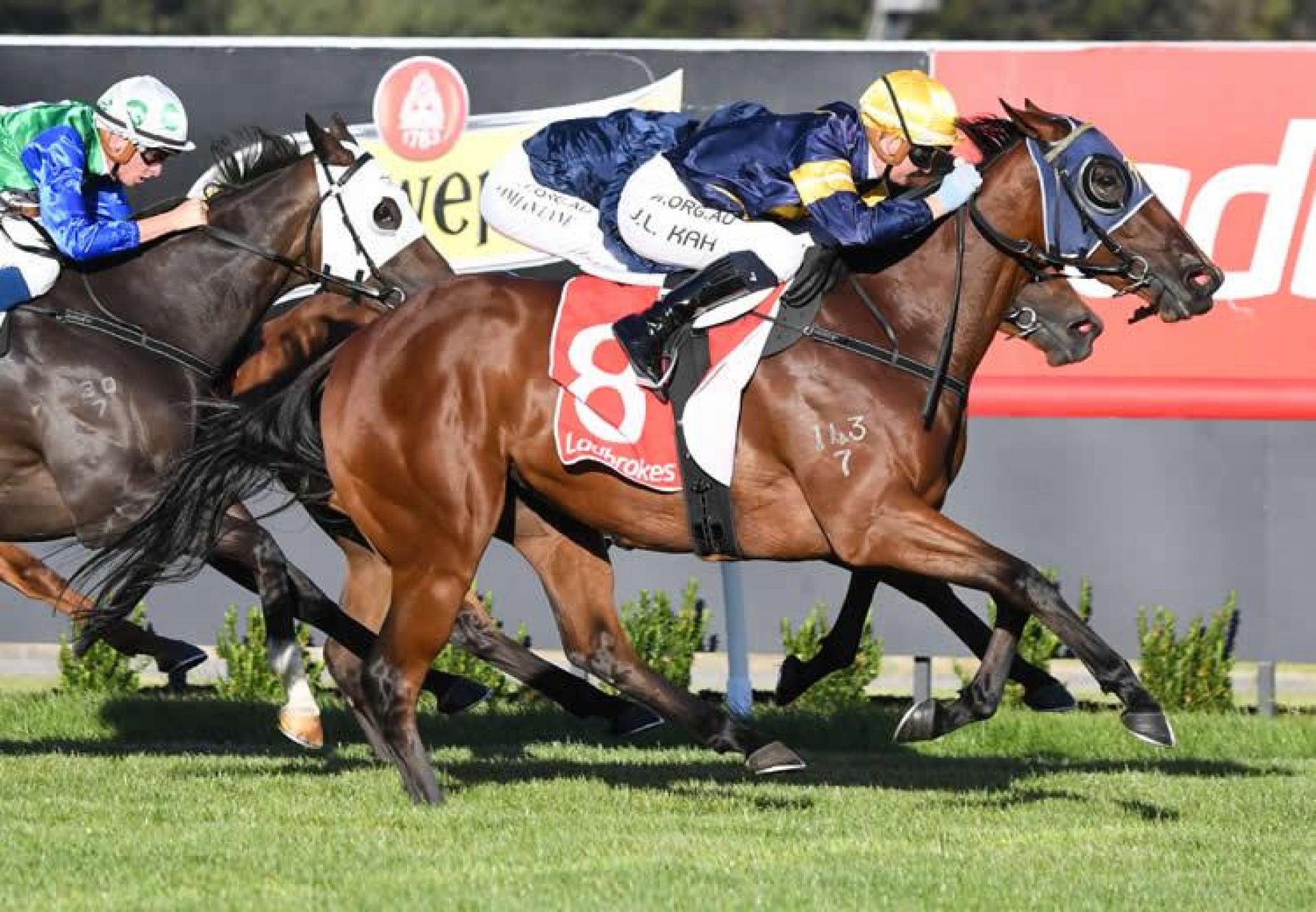 Thunder Peak (Vancouver) winning at Sandown