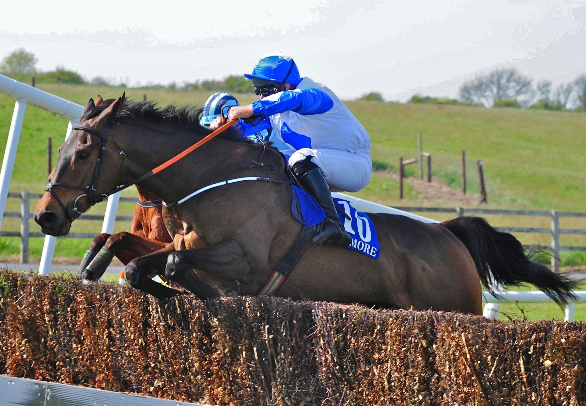 Tiantu (Getaway) Wins The Beginners Chase At Tramore