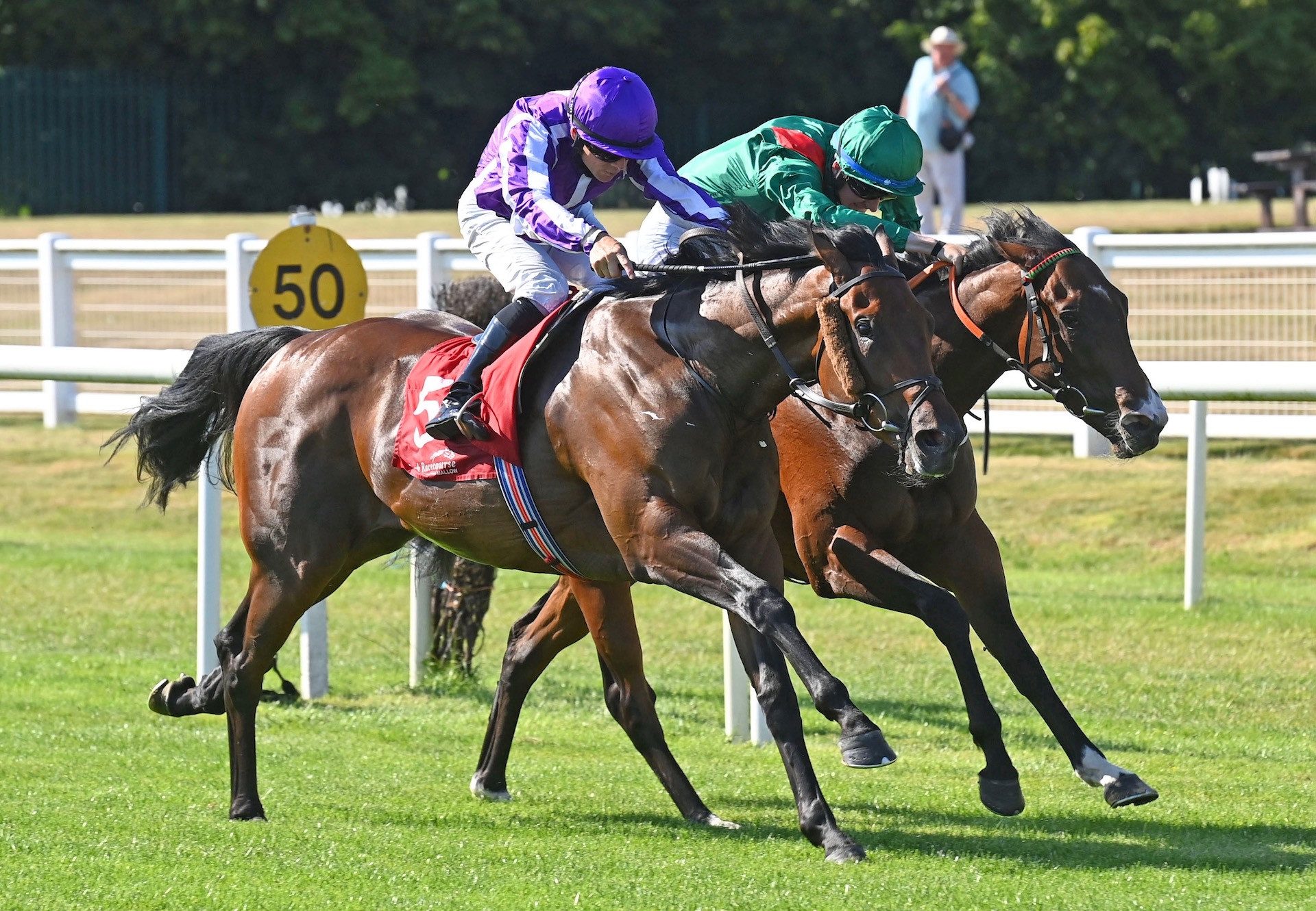 Tiger Paw (Sioux Nation) Wins His Maiden At Cork