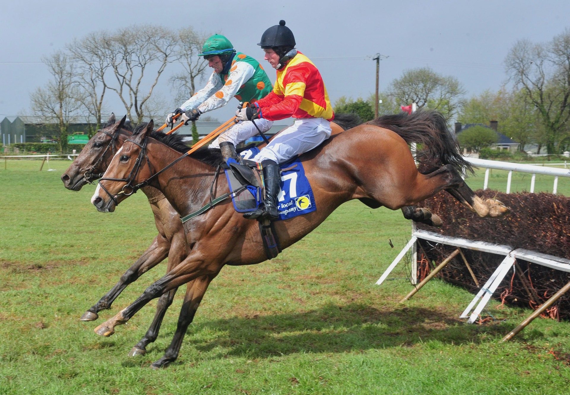 Tigers Roar (Leading Light) Wins The 5 YO Geldings Maiden At Dromahane