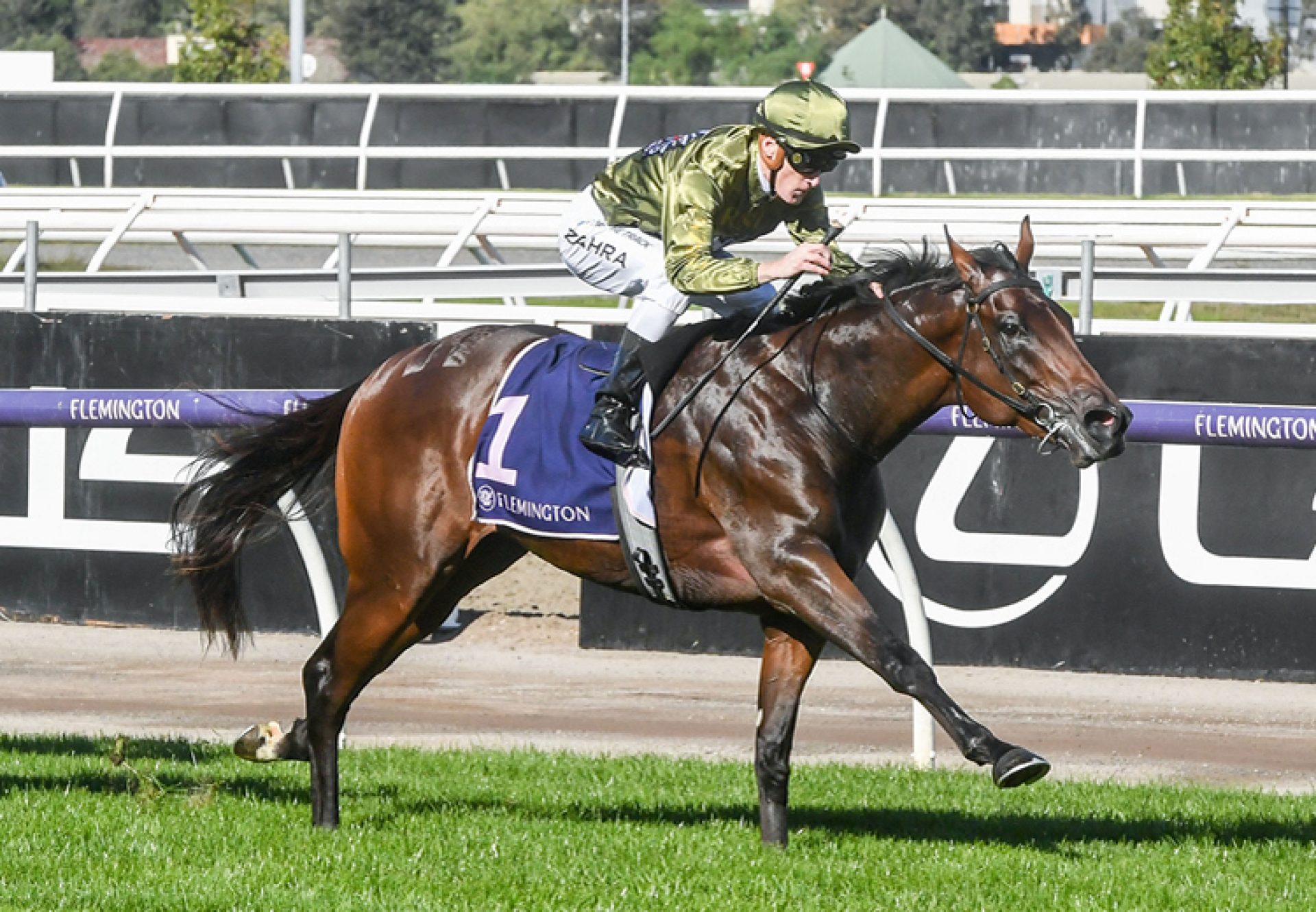 Tijuana (American Pharoah) wins the Listed Anzac Stakes at Flemington