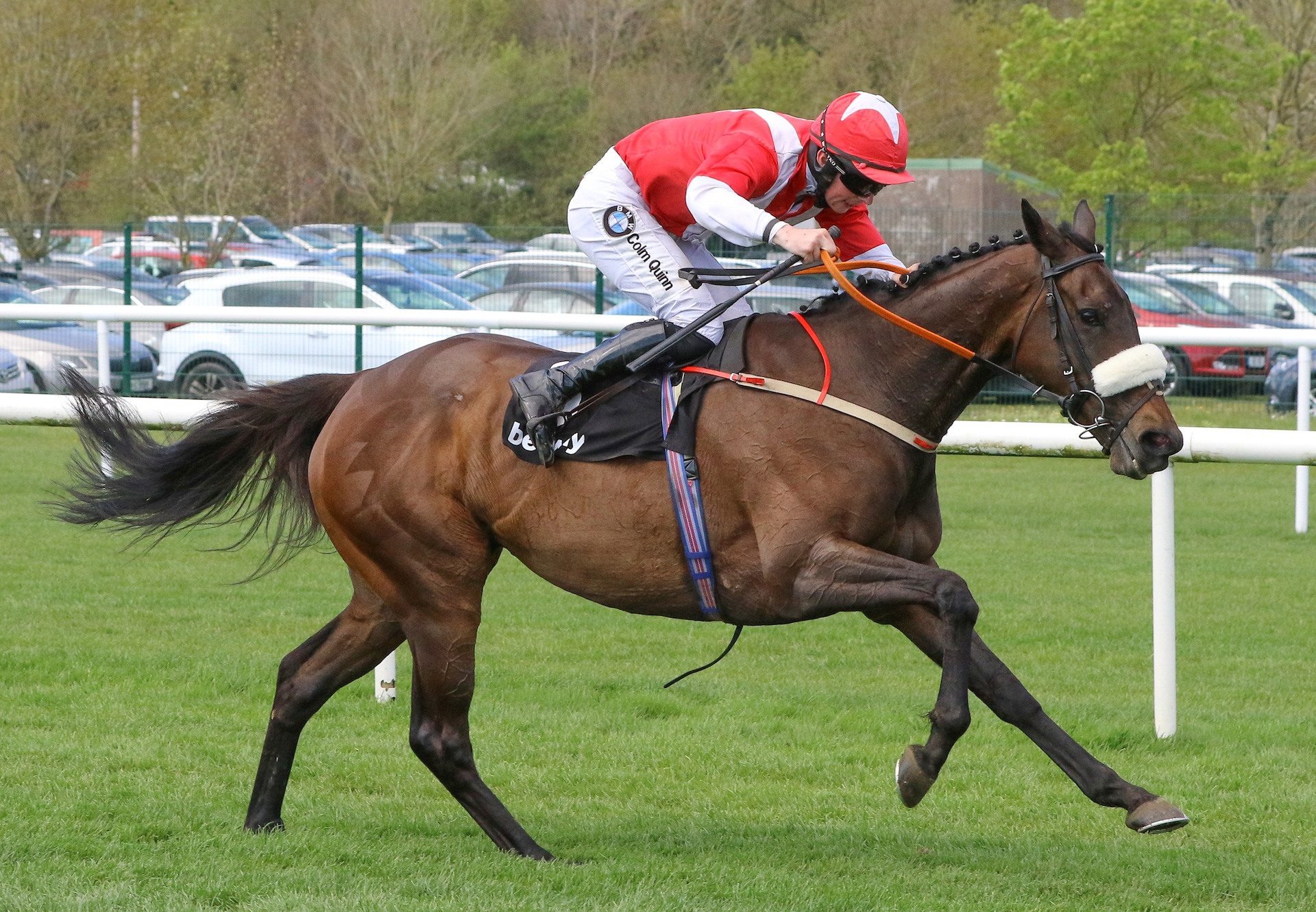 Timeforwest (Westerner) Lands Cork Grade 3