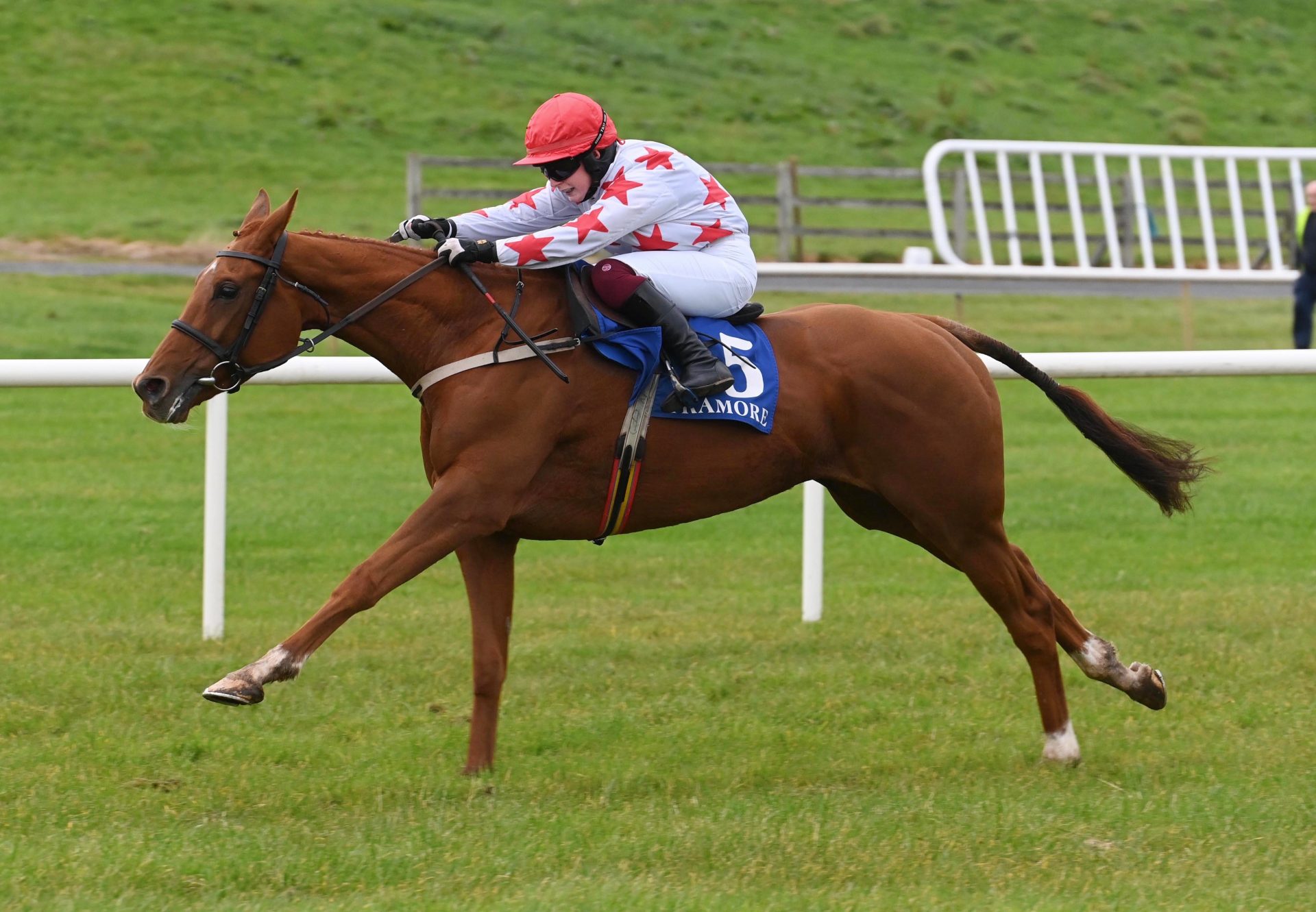 Tina Meehan (Mahler) Makes An Impressive Debut At Tramore