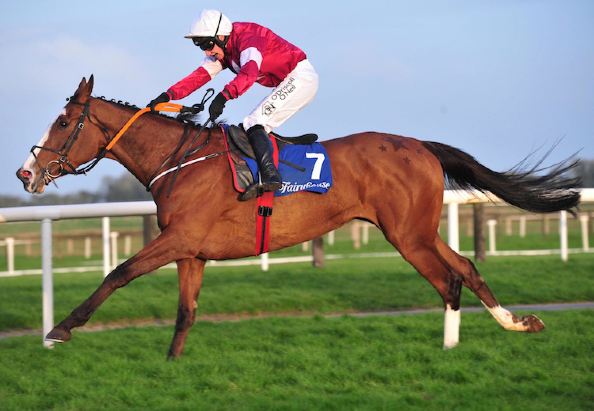 Tintangle (Yeats) winning a Listed Bumper at Fairyhouse