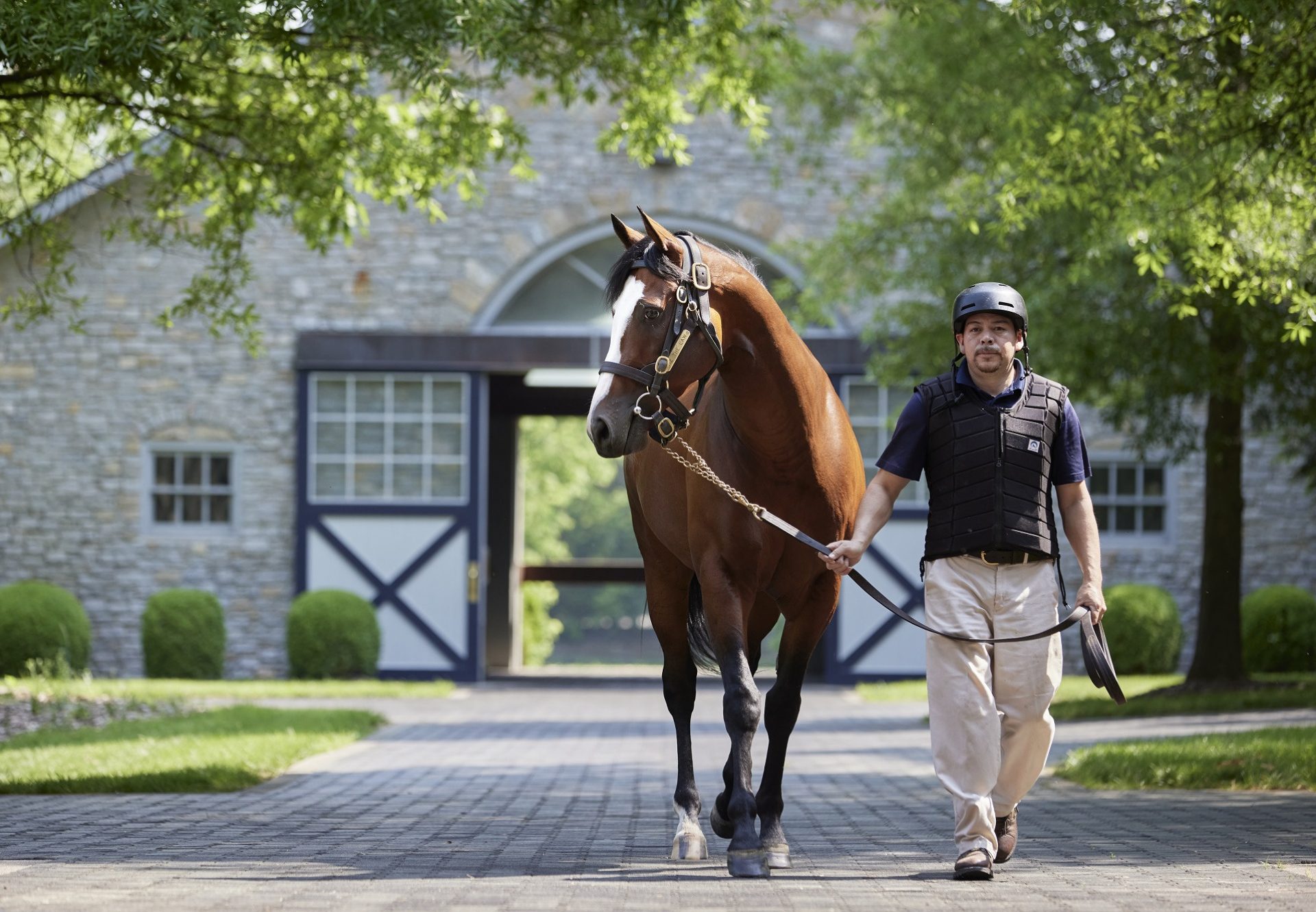 Tiz The Law At Stables 02