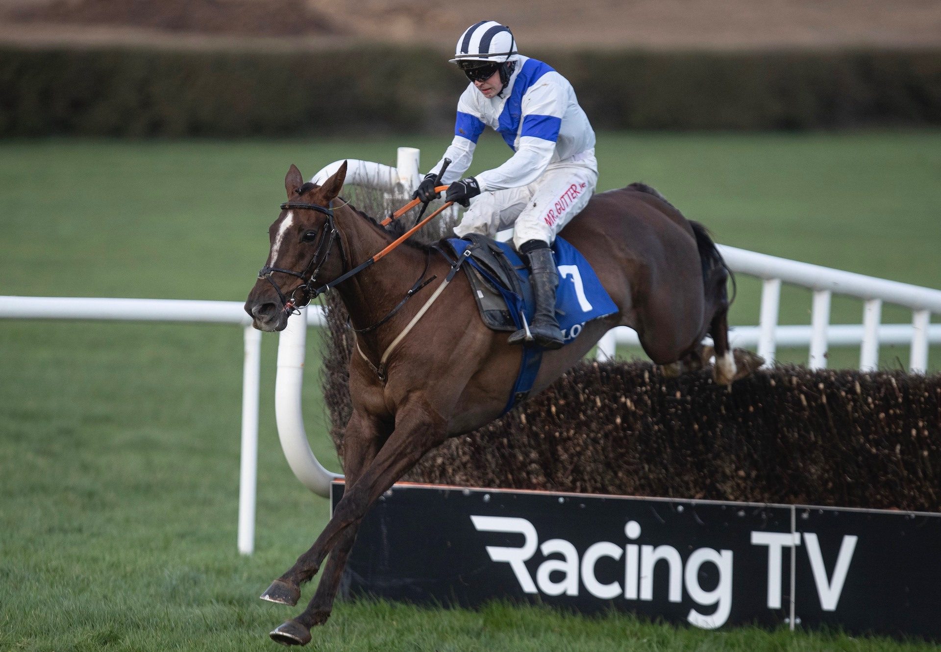 Tokyo Getaway (Getaway) Wins The Rated Novice Chase At Clonmel