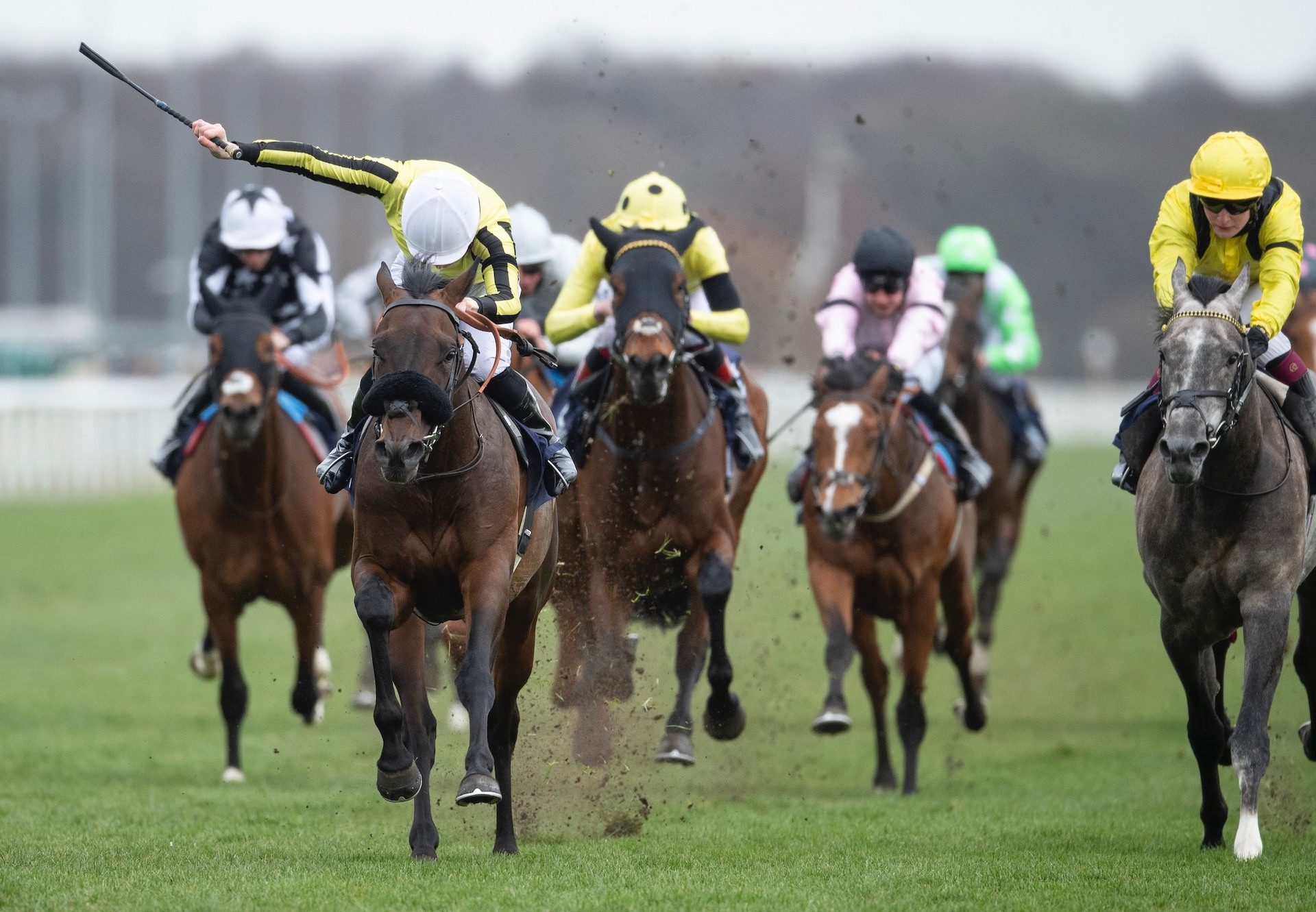 Too Friendly (Camelot) Wins His Maiden At Doncaster