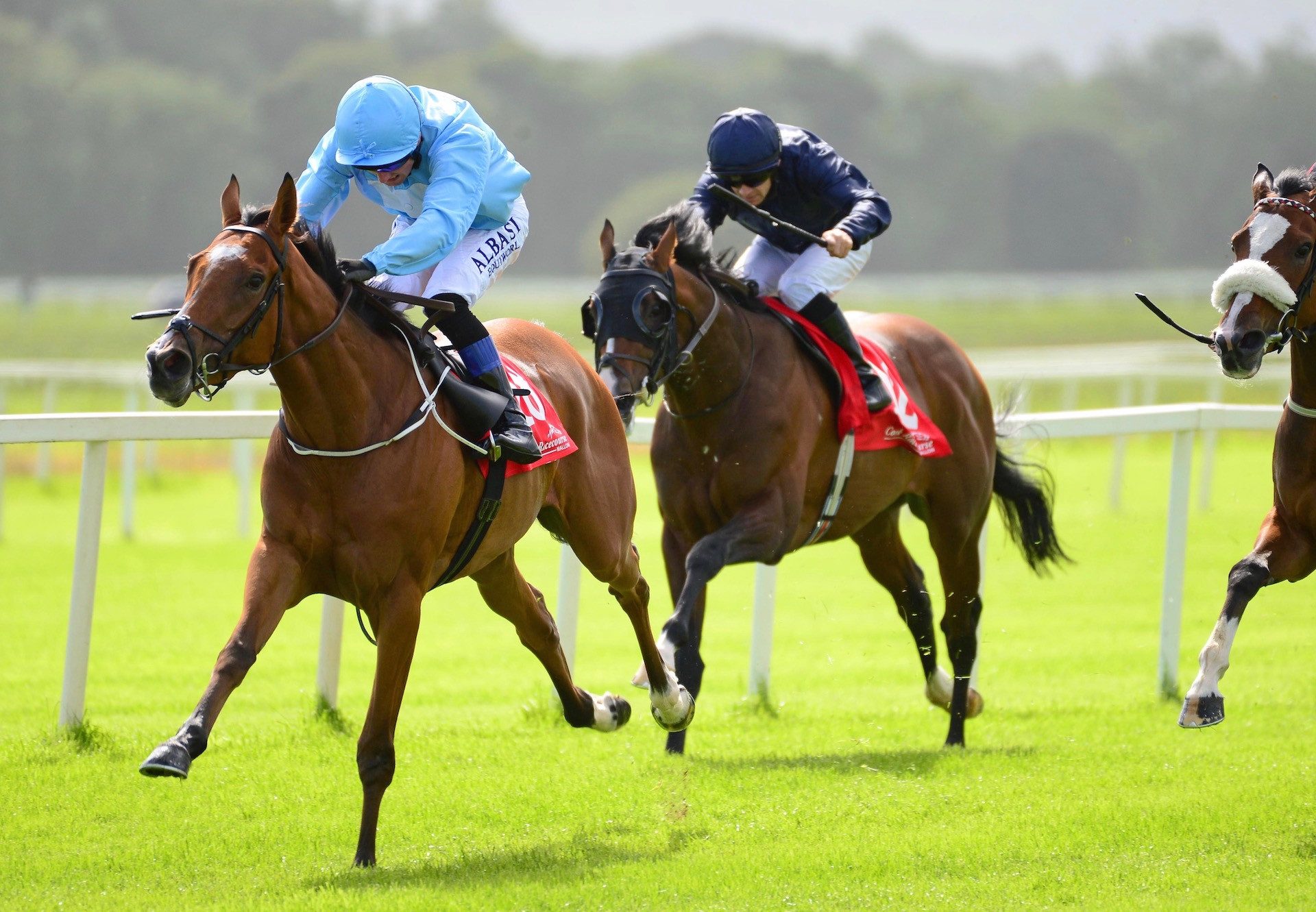 Too Soon To Panic (Gleneagles) Wins Her Maiden At Cork